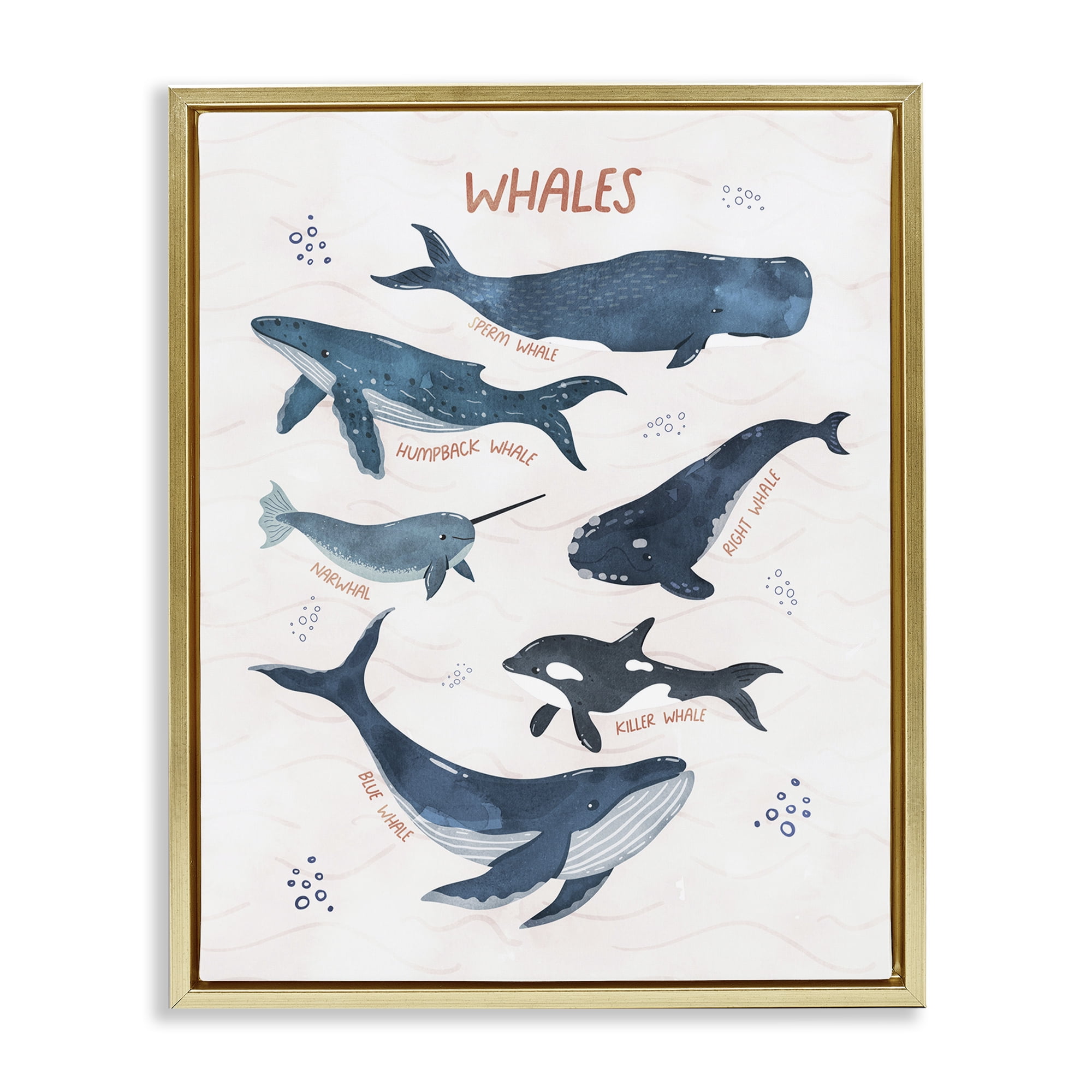 Stupell Industries Whales of the World Animals & Insects Painting Gold Floater Framed Art Print Wall Art, 17 x 21