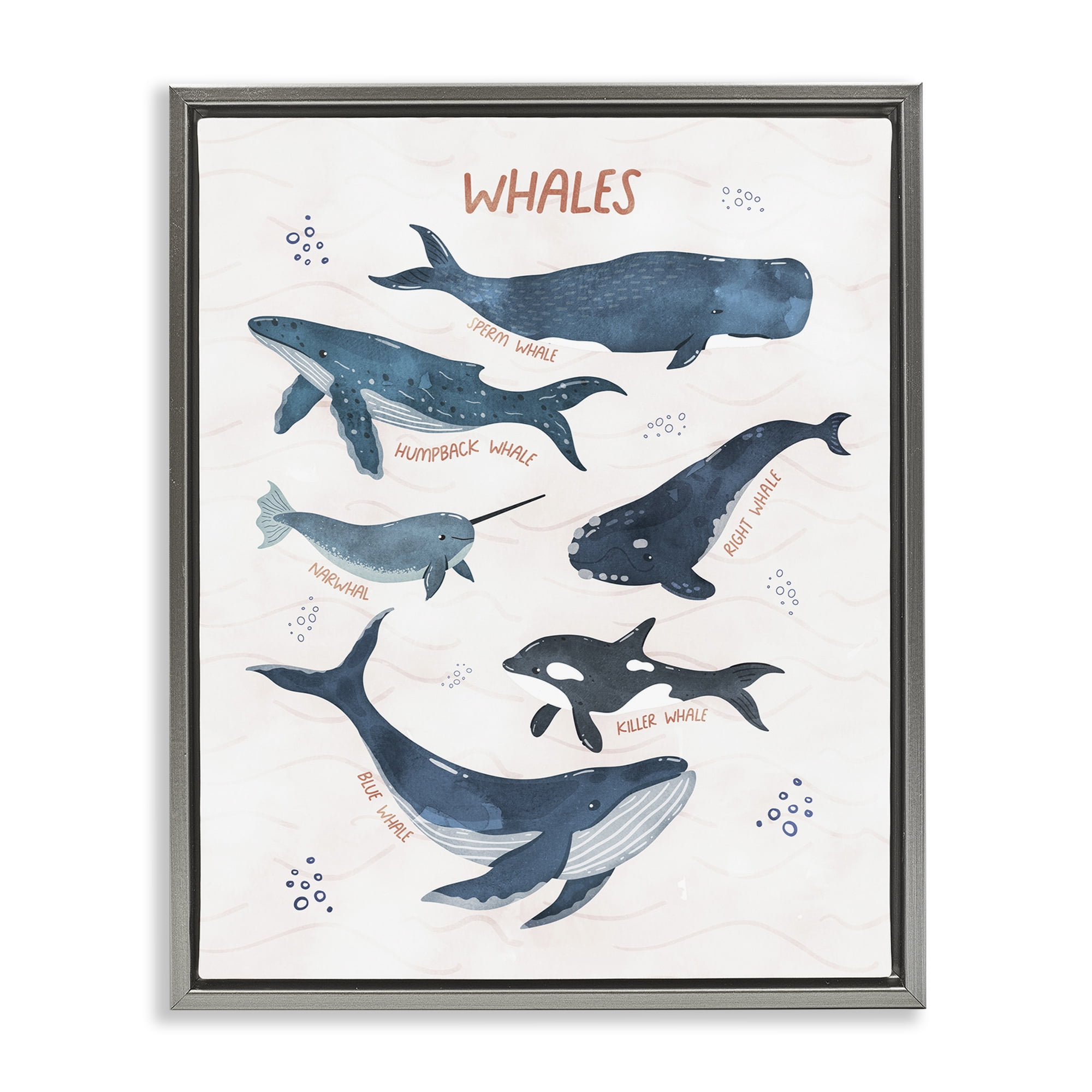 Stupell Industries Whales of the World Animals & Insects Painting Gray Floater Framed Art Print Wall Art, 17 x 21