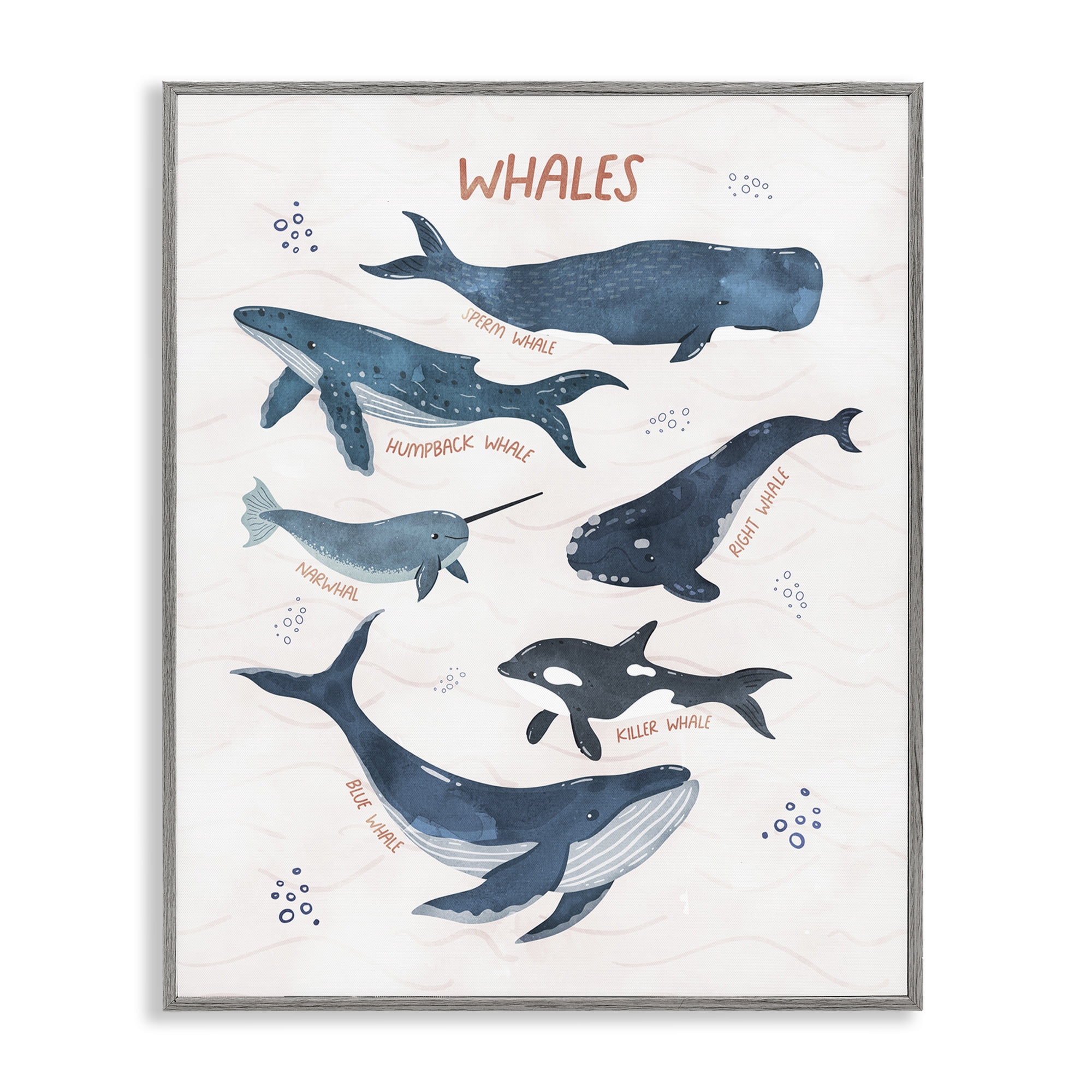 Stupell Industries Whales of the World Animals & Insects Painting Gray Framed Art Print Wall Art, 24 x 30