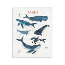 Stupell Industries Whales of the World Animals & Insects Painting Unframed Art Print Wall Art, 11 x 14