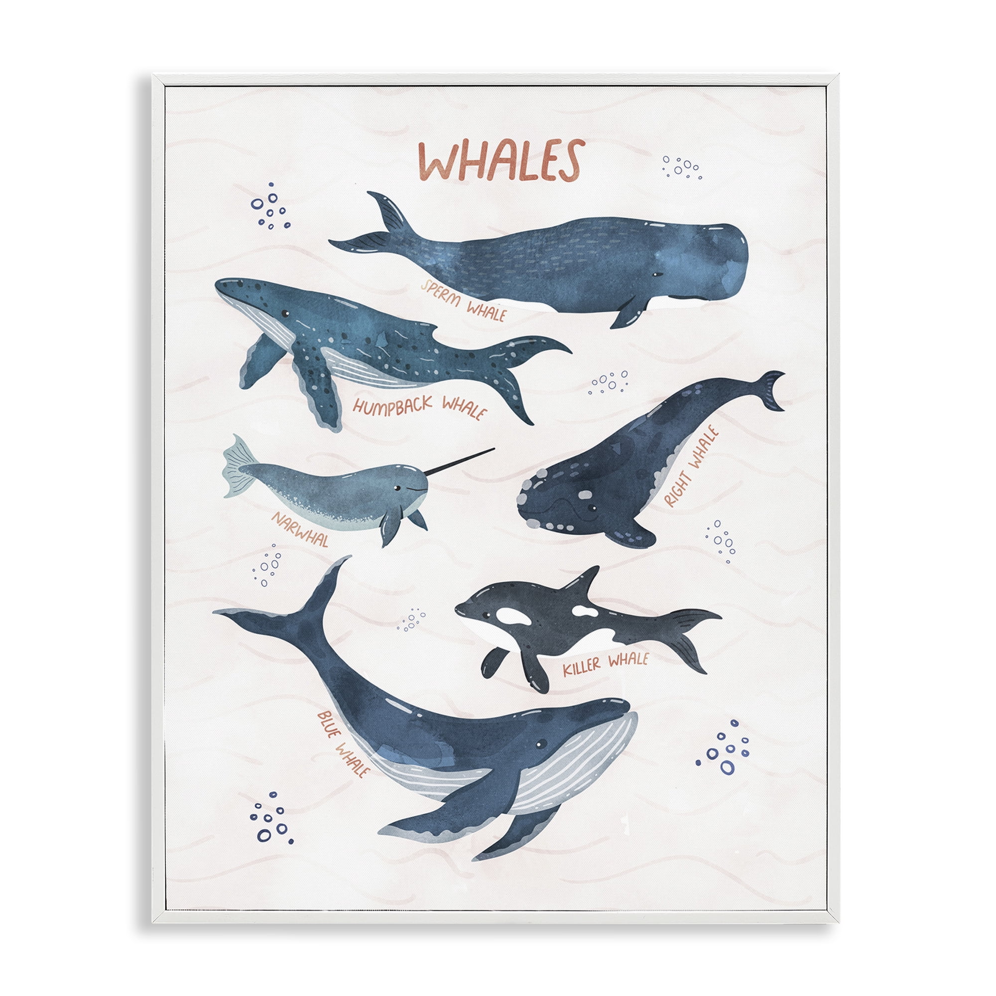 Stupell Industries Whales of the World Animals & Insects Painting White Framed Art Print Wall Art, 11 x 14