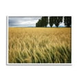 thumbnail image 1 of Stupell Industries Wheat Field Harvest Windy Field Country Landscape, 24 x 30, Designed by Nancy Crowell, 1 of 6