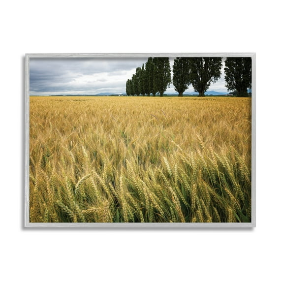 Stupell Industries Wheat Field Harvest Windy Field Country Landscape, 24 x 30, Designed by Nancy Crowell