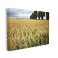 thumbnail image 1 of Stupell Industries Wheat Field Harvest Windy Field Country Landscape, 24 x 30, Designed by Nancy Crowell, 1 of 5