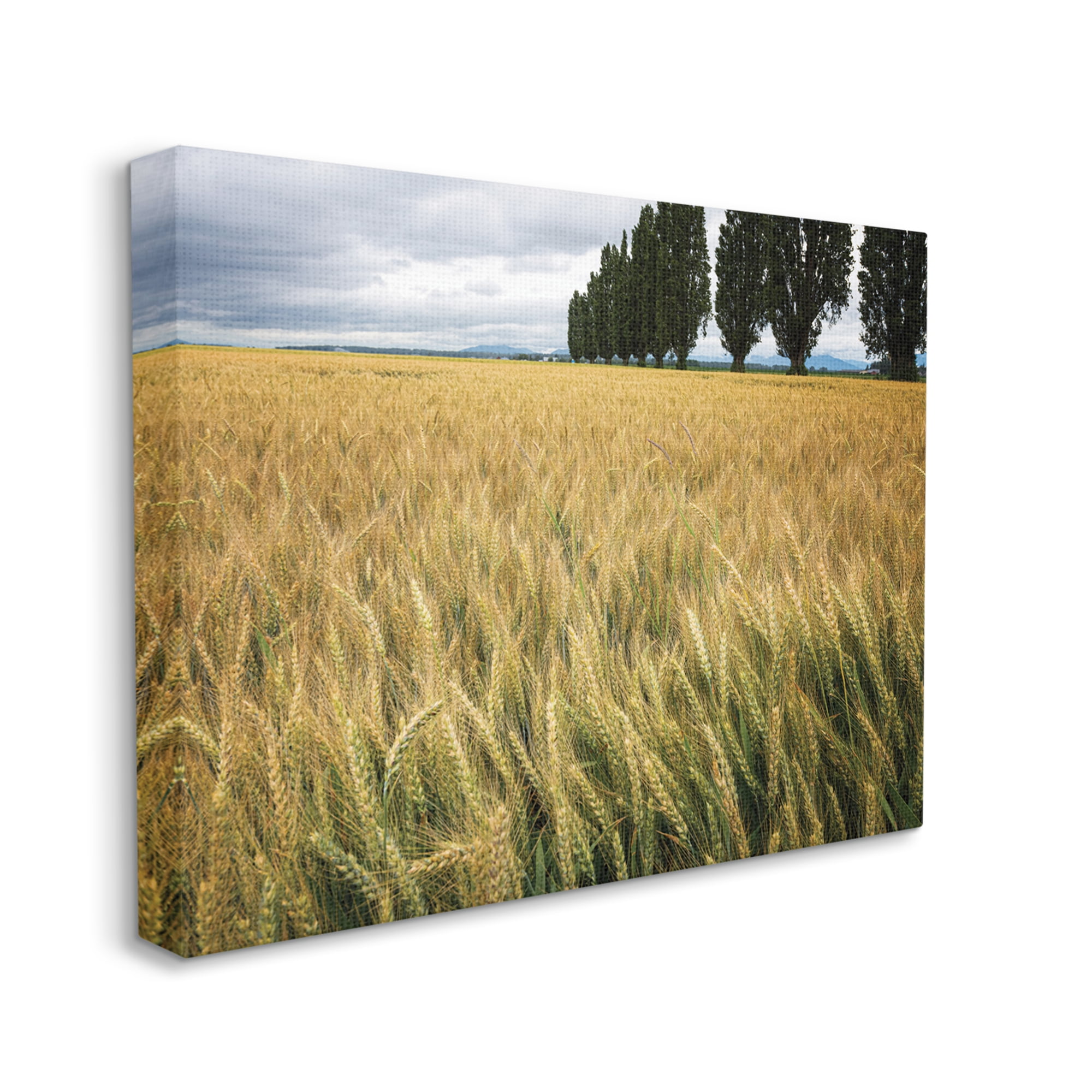 Stupell Industries Wheat Field Harvest Windy Field Country Landscape, 36 x 48, Designed by Nancy Crowell