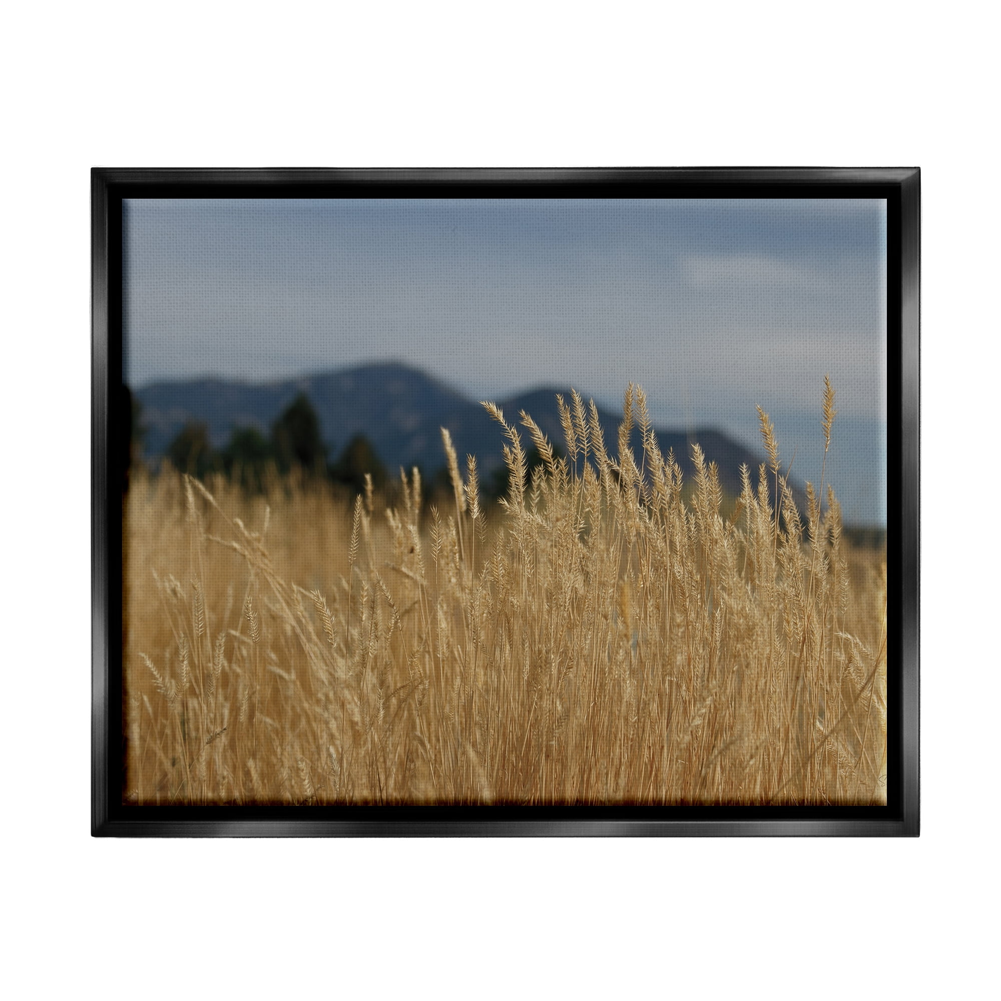 Stupell Industries Wheat Field Landscape Nature Photography Black Floater Framed Art Print Wall Art, 21 x 17