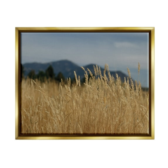 Stupell Industries Wheat Field Landscape Nature Photography Gold Floater Framed Art Print Wall Art, 31 x 25