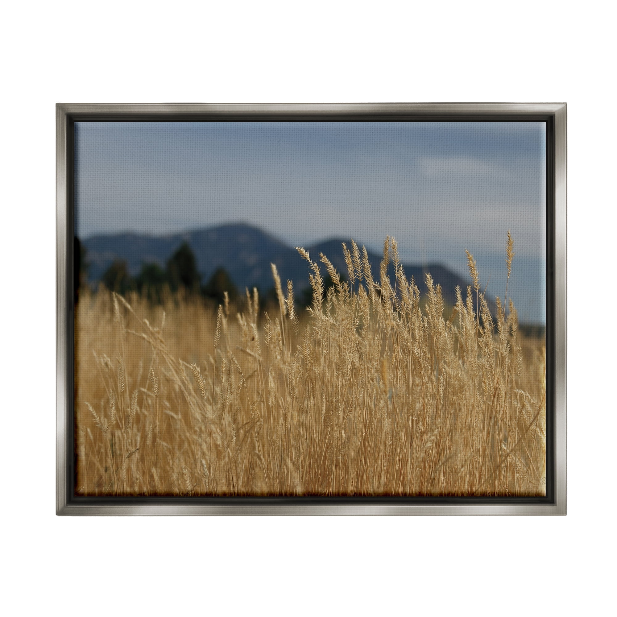 Stupell Industries Wheat Field Landscape Nature Photography Gray Floater Framed Art Print Wall Art, 31 x 25