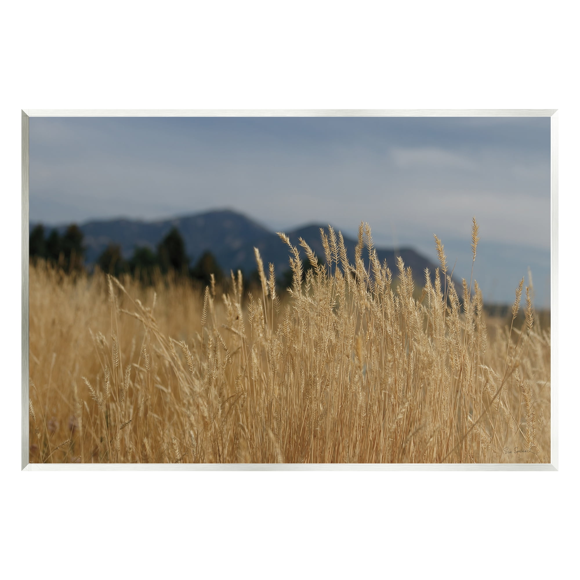 Stupell Industries Wheat Field Landscape Nature Photography Unframed Art Print Wall Art, 19 x 13
