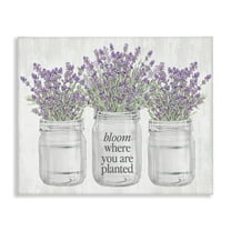 Stupell Industries Where You're Planted Botanical & Floral Painting Gallery Wrapped Canvas Art Print Wall Art, 20 x 16