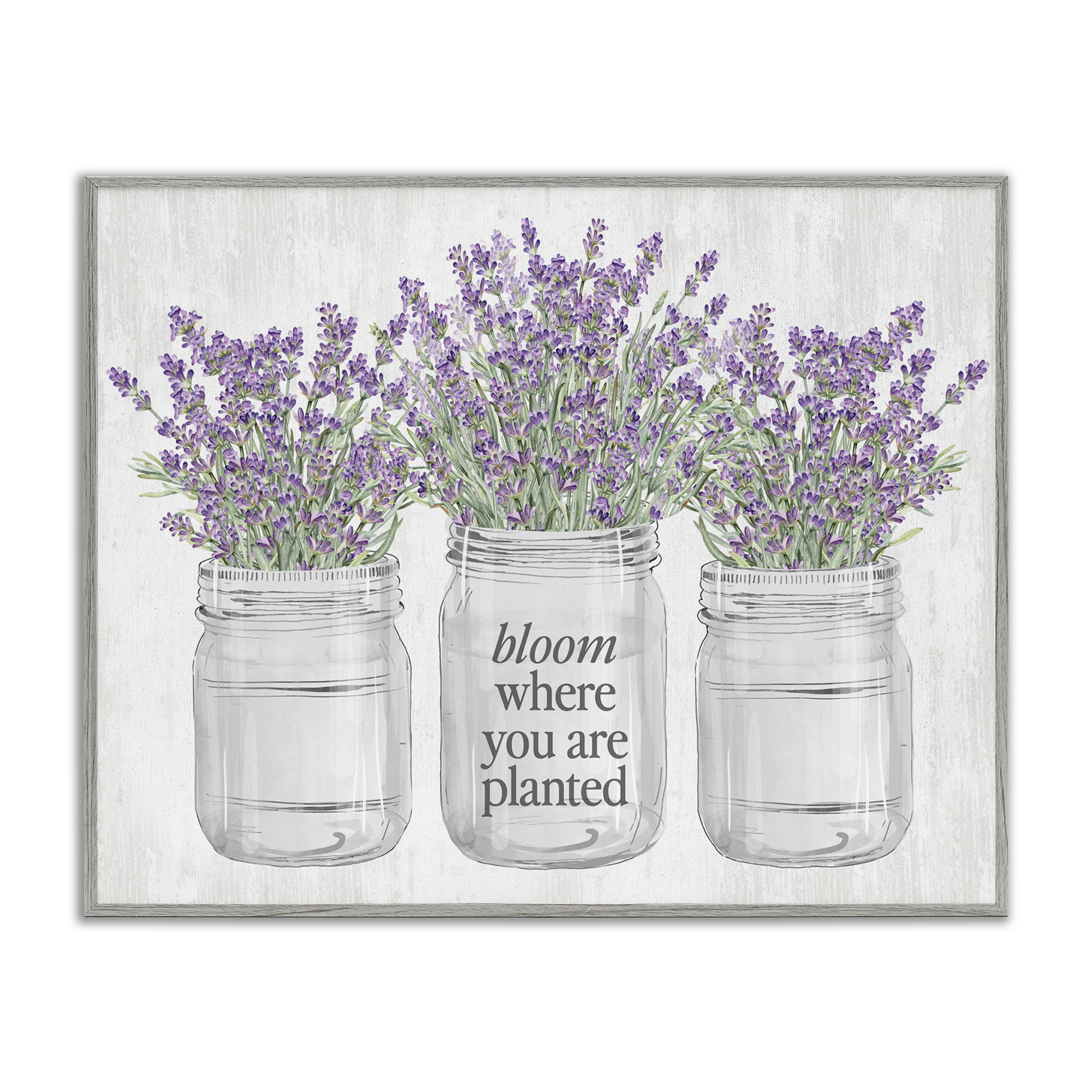 Stupell Industries Where You're Planted Botanical & Floral Painting Gray Framed Art Print Wall Art, 30 x 24