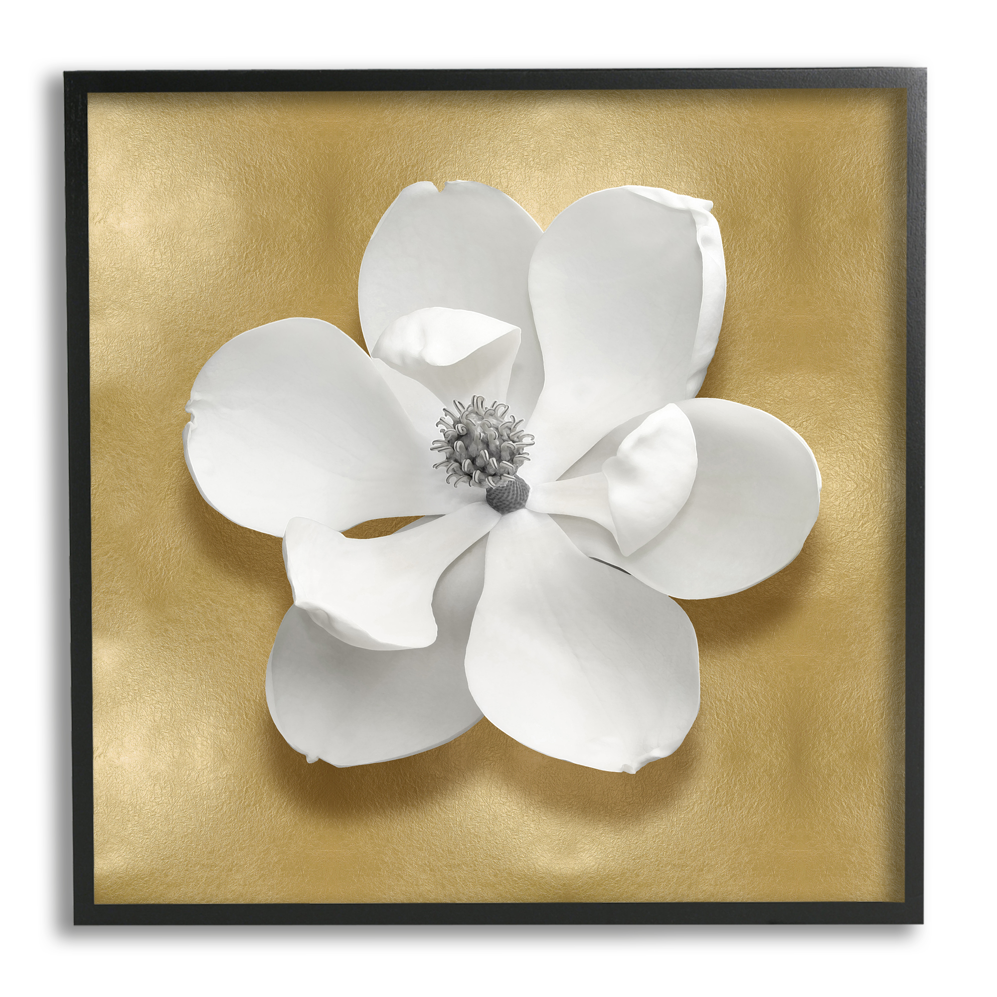 Stupell Industries White Apple Blossom Botanical & Floral Painting Black Framed Art Print Wall Art, 12 x 12