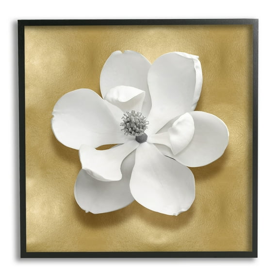 Stupell Industries White Apple Blossom Botanical & Floral Painting Black Framed Art Print Wall Art, 17 x 17