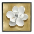 thumbnail image 1 of Stupell Industries White Apple Blossom Botanical & Floral Painting Black Framed Art Print Wall Art, 24 x 24, 1 of 9