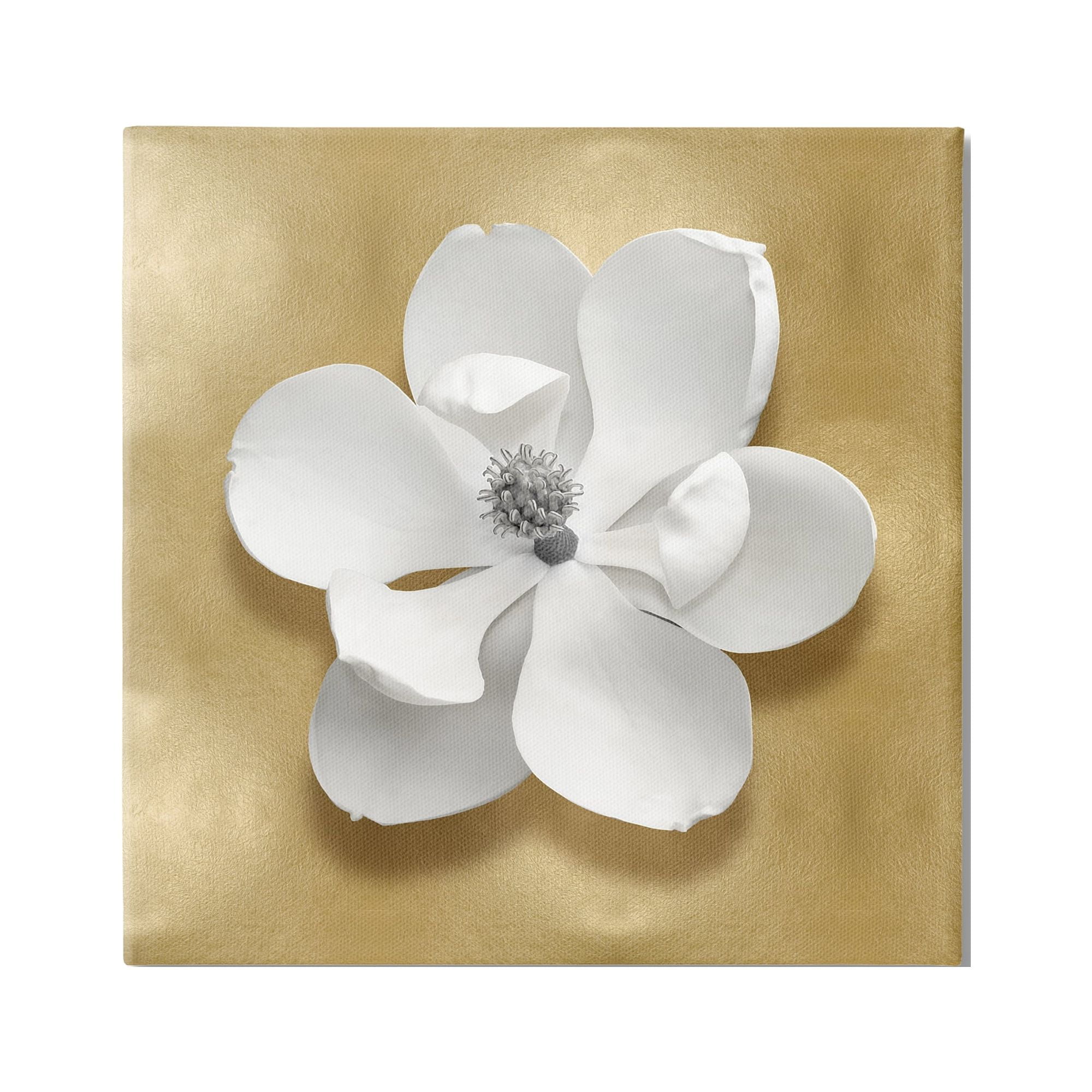 Stupell Industries White Apple Blossom Botanical & Floral Painting Gallery Wrapped Canvas Art Print Wall Art, 24 x 24