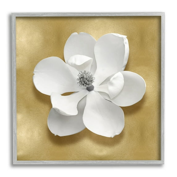 Stupell Industries White Apple Blossom Botanical & Floral Painting Gray Framed Art Print Wall Art, 24 x 24