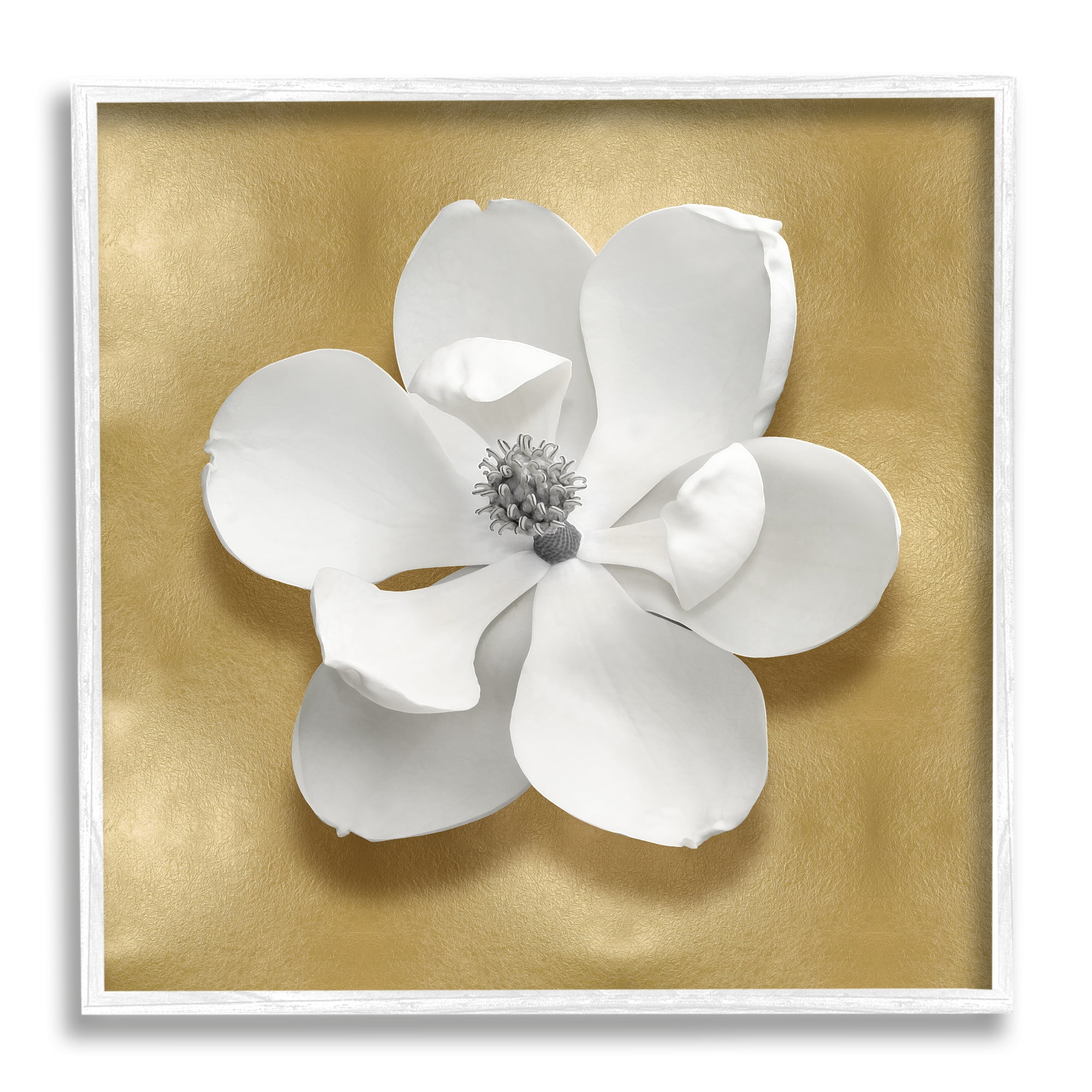 Stupell Industries White Apple Blossom Botanical & Floral Painting White Framed Art Print Wall Art, 24 x 24
