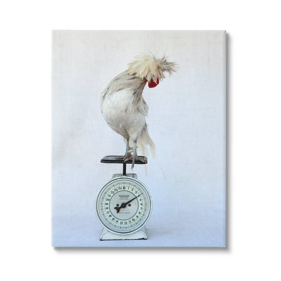 Stupell Industries White Bird Standing Vintage Kitchen Scale Photography Photograph Gallery Wrapped Canvas Print Wall Art, Design by Tania Soderman