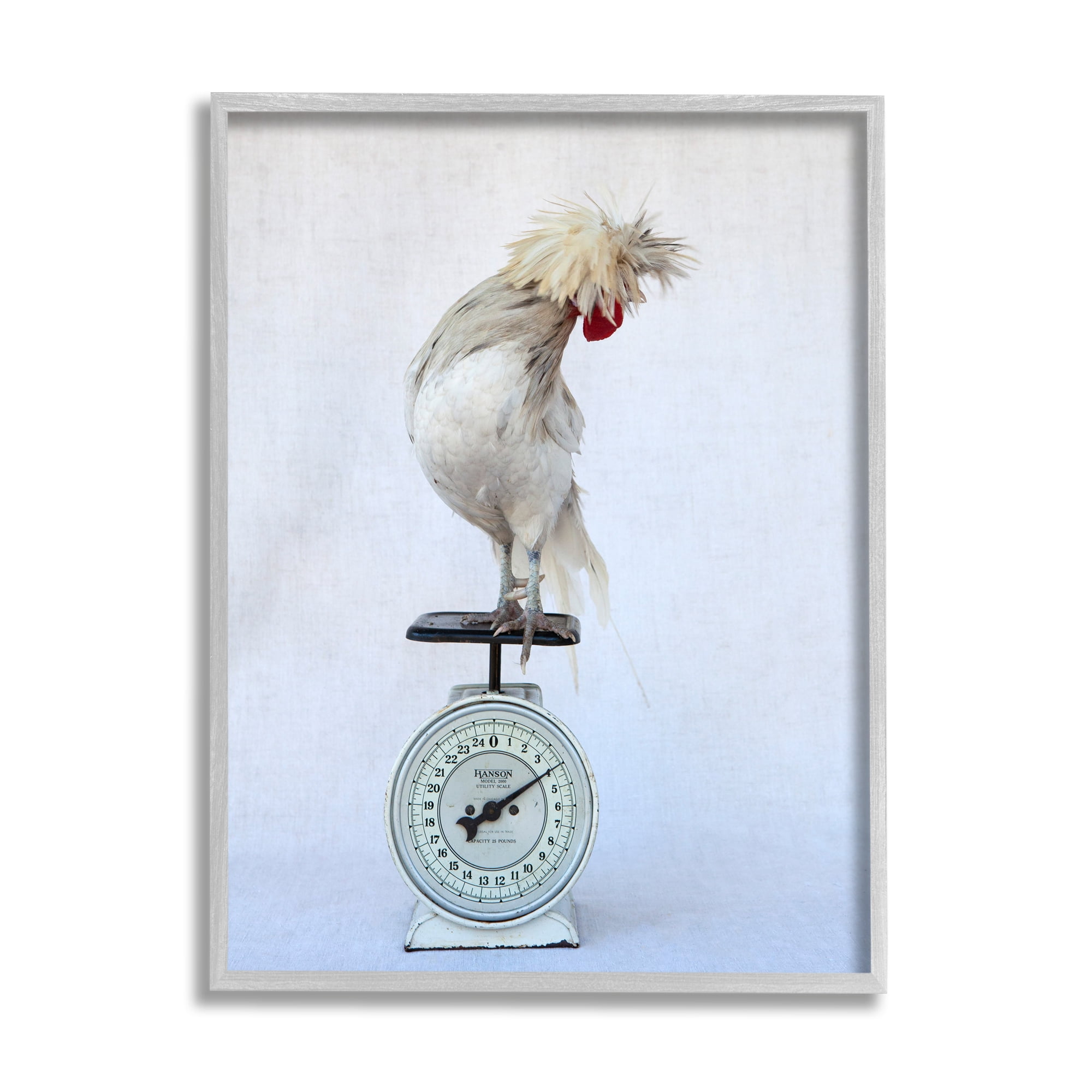 Stupell Industries White Bird Standing Vintage Kitchen Scale Photography Photograph Gray Framed Art Print Wall Art, Design by Tania Soderman
