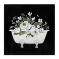 thumbnail image 1 of Stupell Industries Farmhouse White & Black Bath Canvas Art, 17 x 17, by Janet Tava, 1 of 8