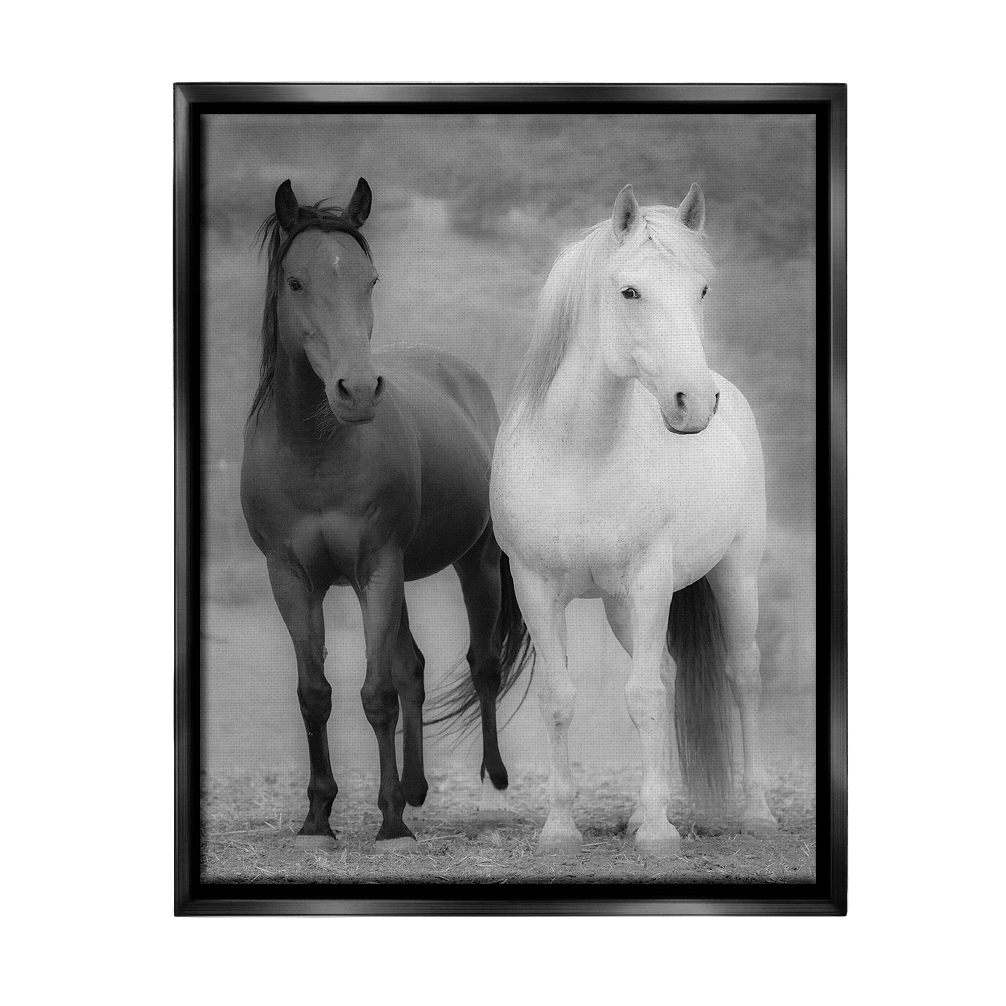 Stupell Industries White & Black Horses Animals & Insects Photography Black Floater Framed Canvas Art Print Wall Art, 17 x 21
