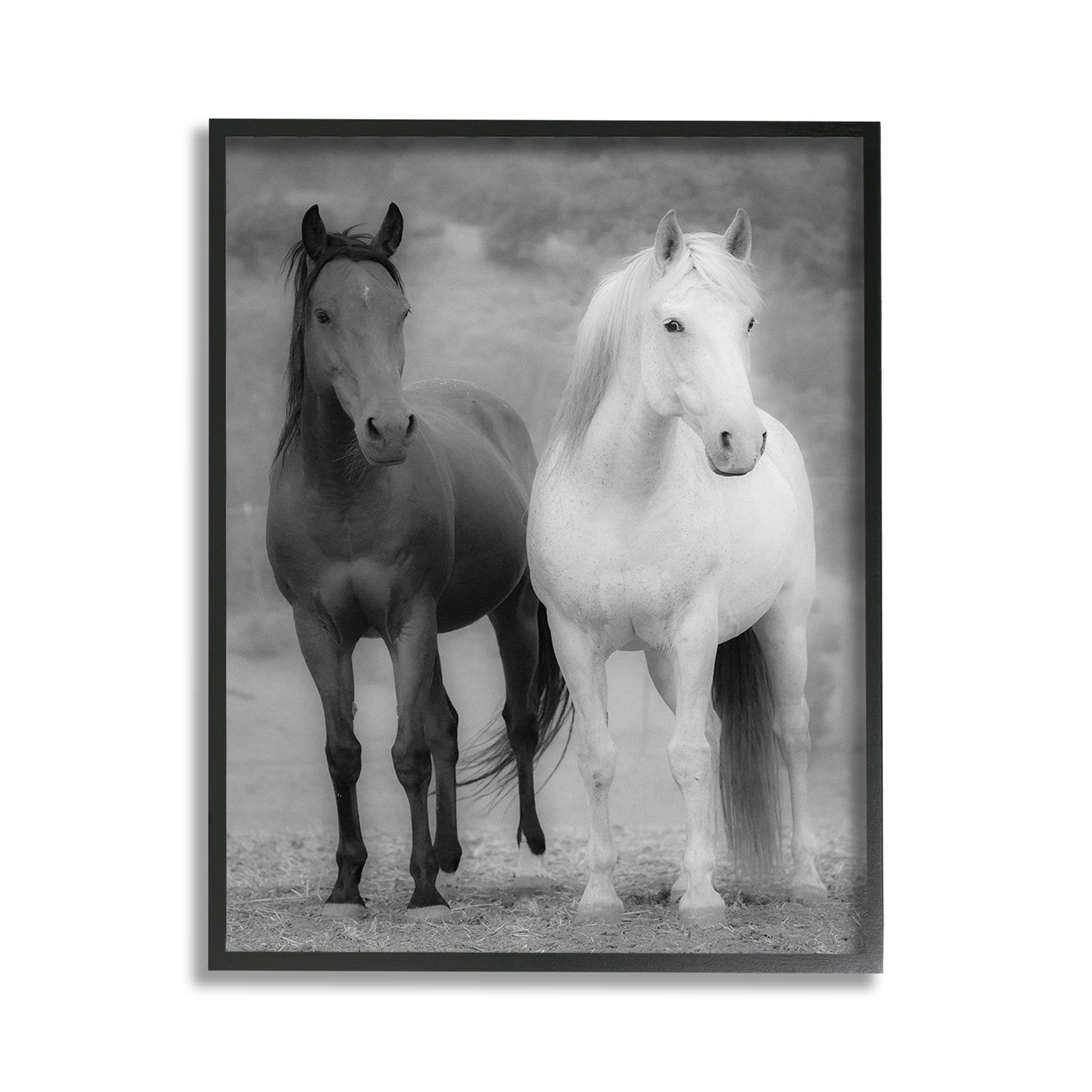 Stupell Industries White & Black Horses Animals & Insects Photography Black Framed Art Print Wall Art, 11 x 14