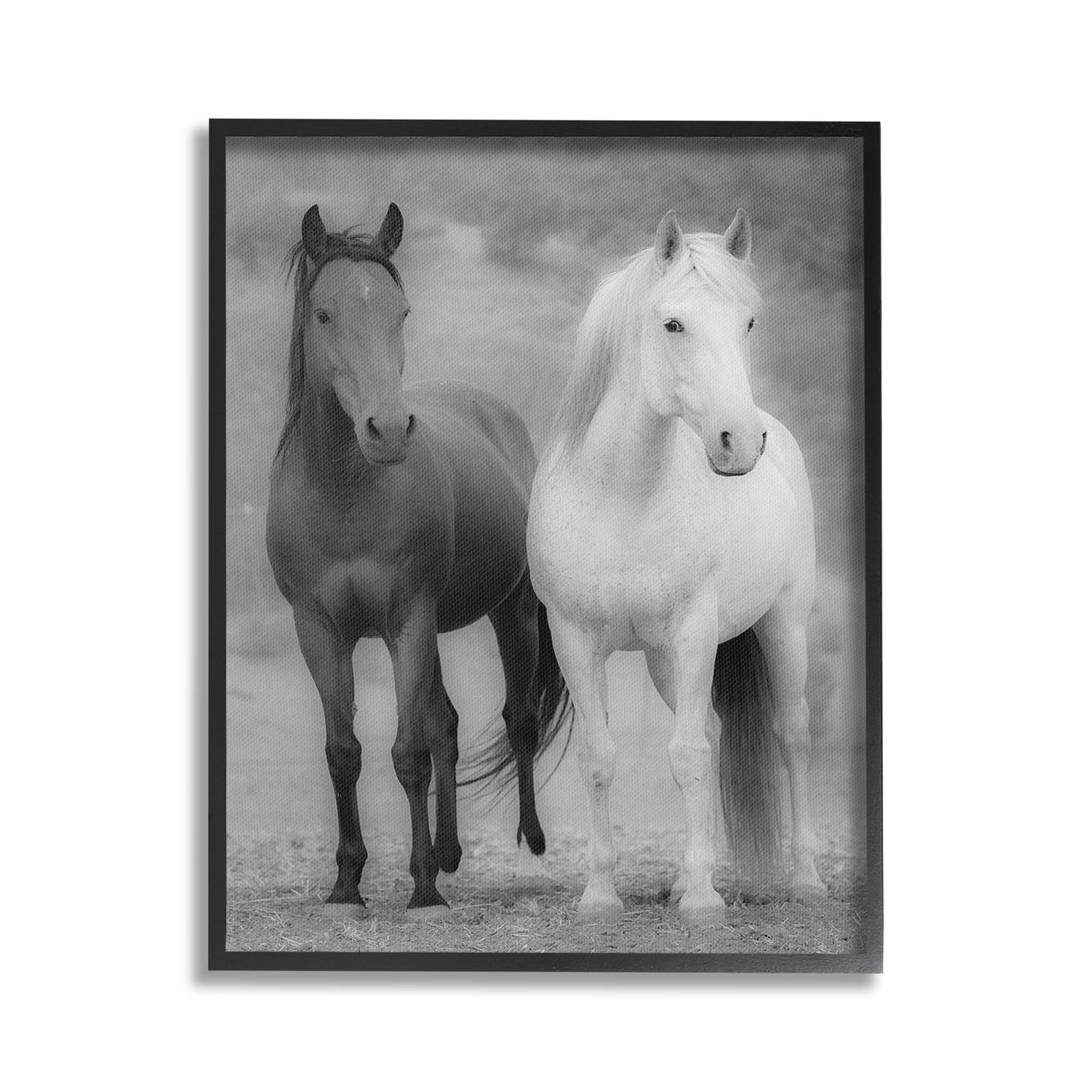 Stupell Industries White & Black Horses Animals & Insects Photography Black Framed Art Print Wall Art, 16 x 20