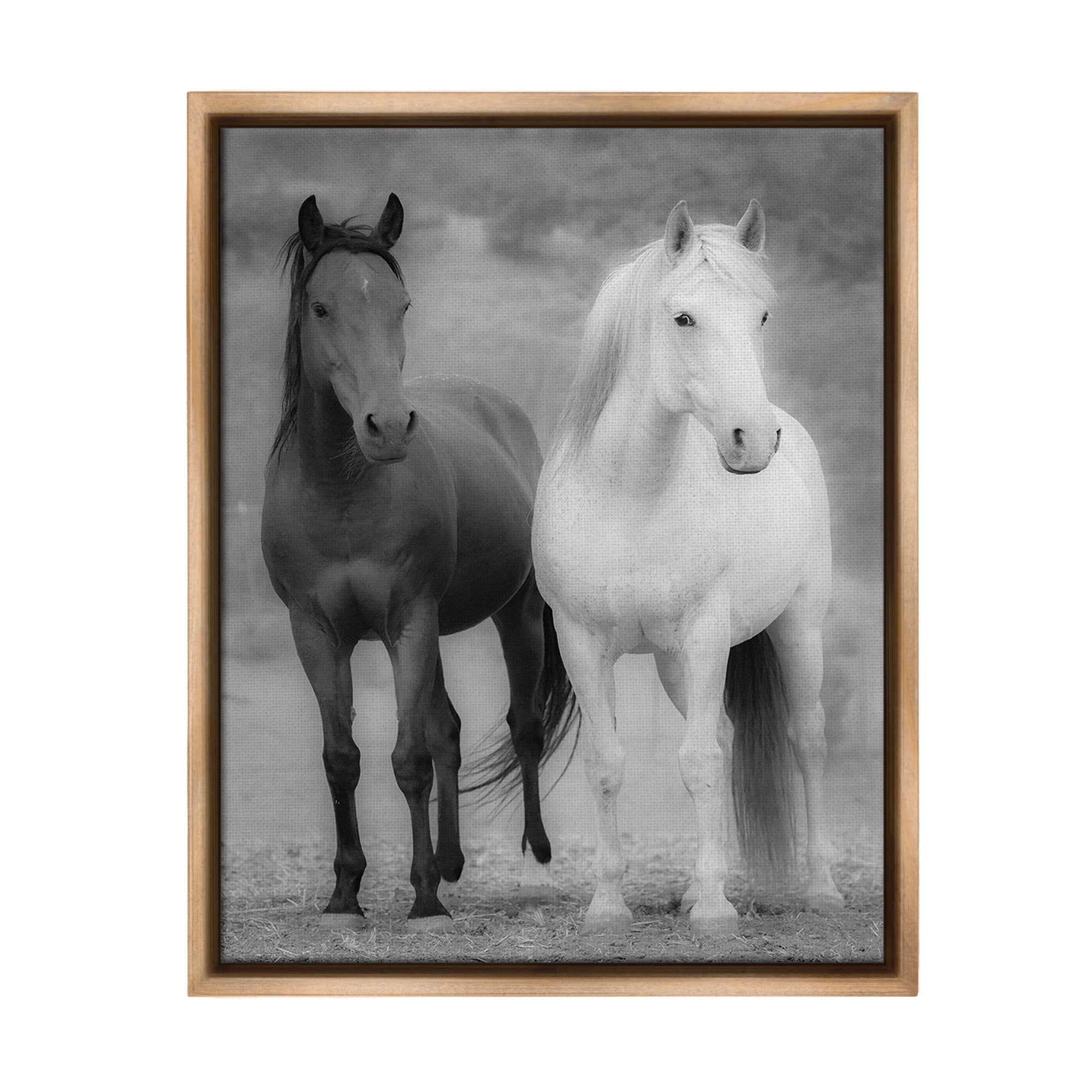 Stupell Industries White & Black Horses Animals & Insects Photography Brown Floater Framed Canvas Art Print Wall Art, 25 x 31