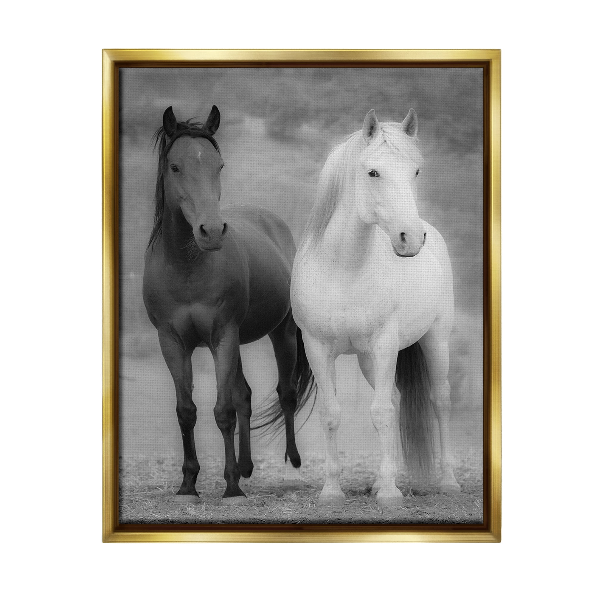 Stupell Industries White & Black Horses Animals & Insects Photography Gold Floater Framed Canvas Art Print Wall Art, 25 x 31