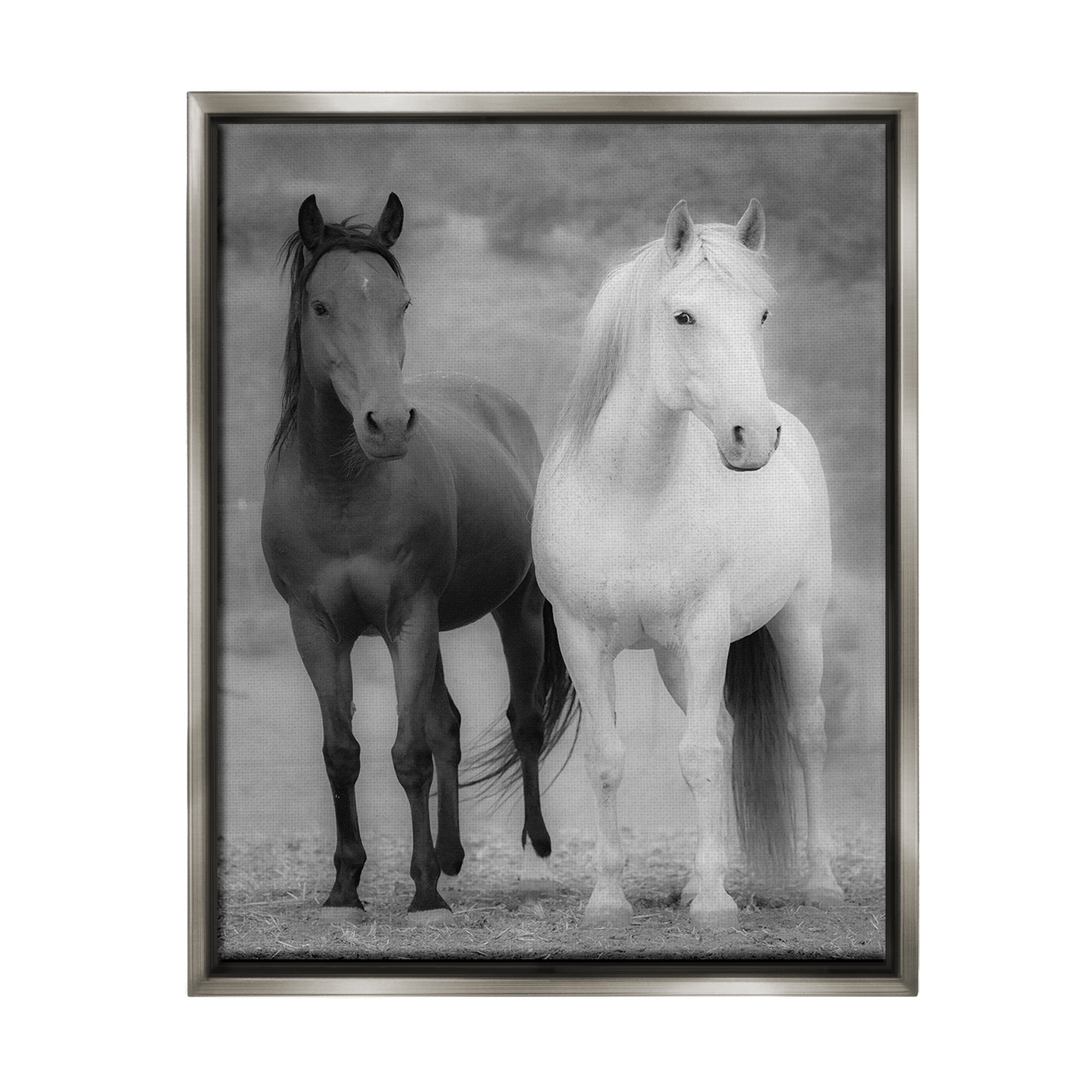 Stupell Industries White & Black Horses Animals & Insects Photography Gray Floater Framed Canvas Art Print Wall Art, 17 x 21