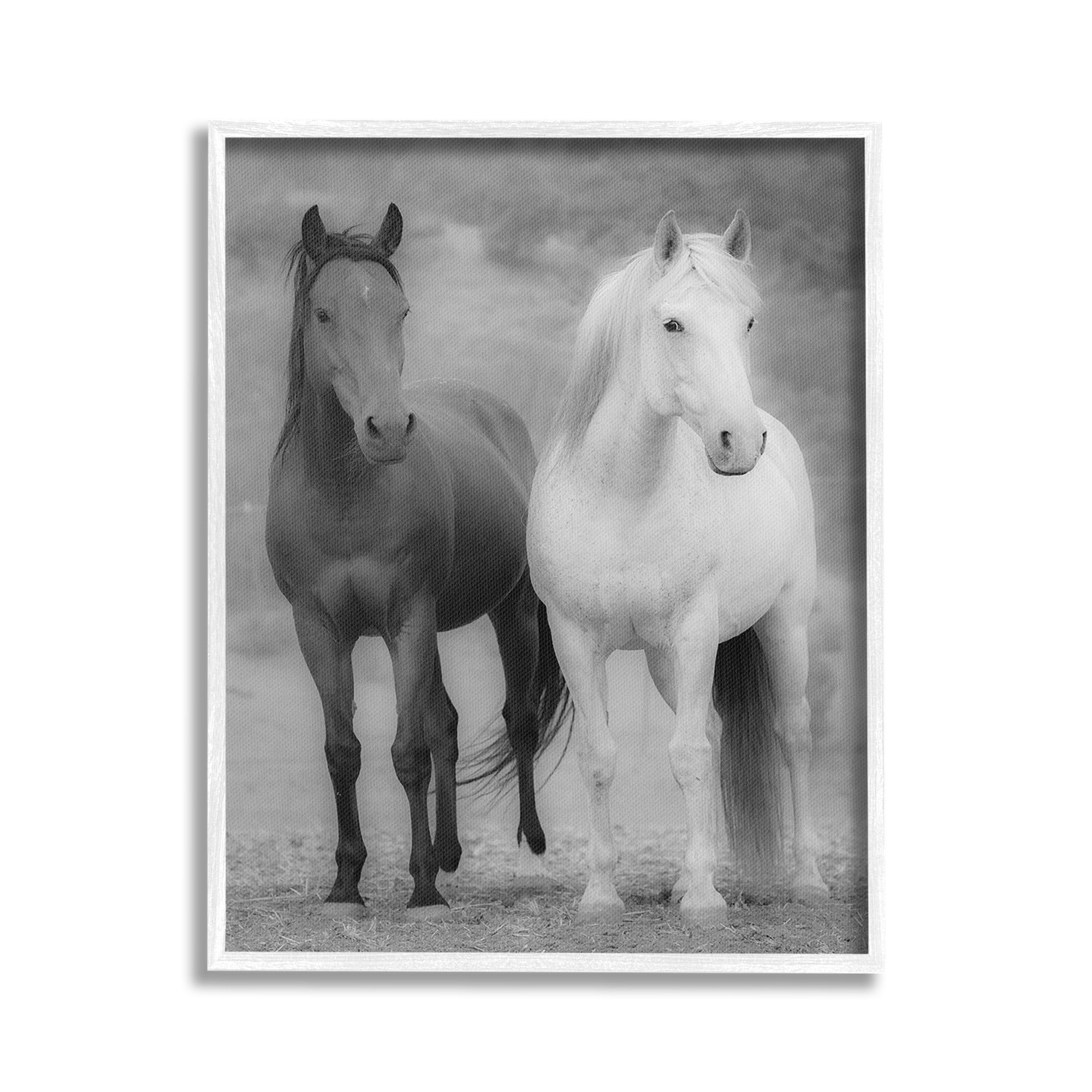 Stupell Industries White & Black Horses Animals & Insects Photography White Framed Art Print Wall Art, 16 x 20