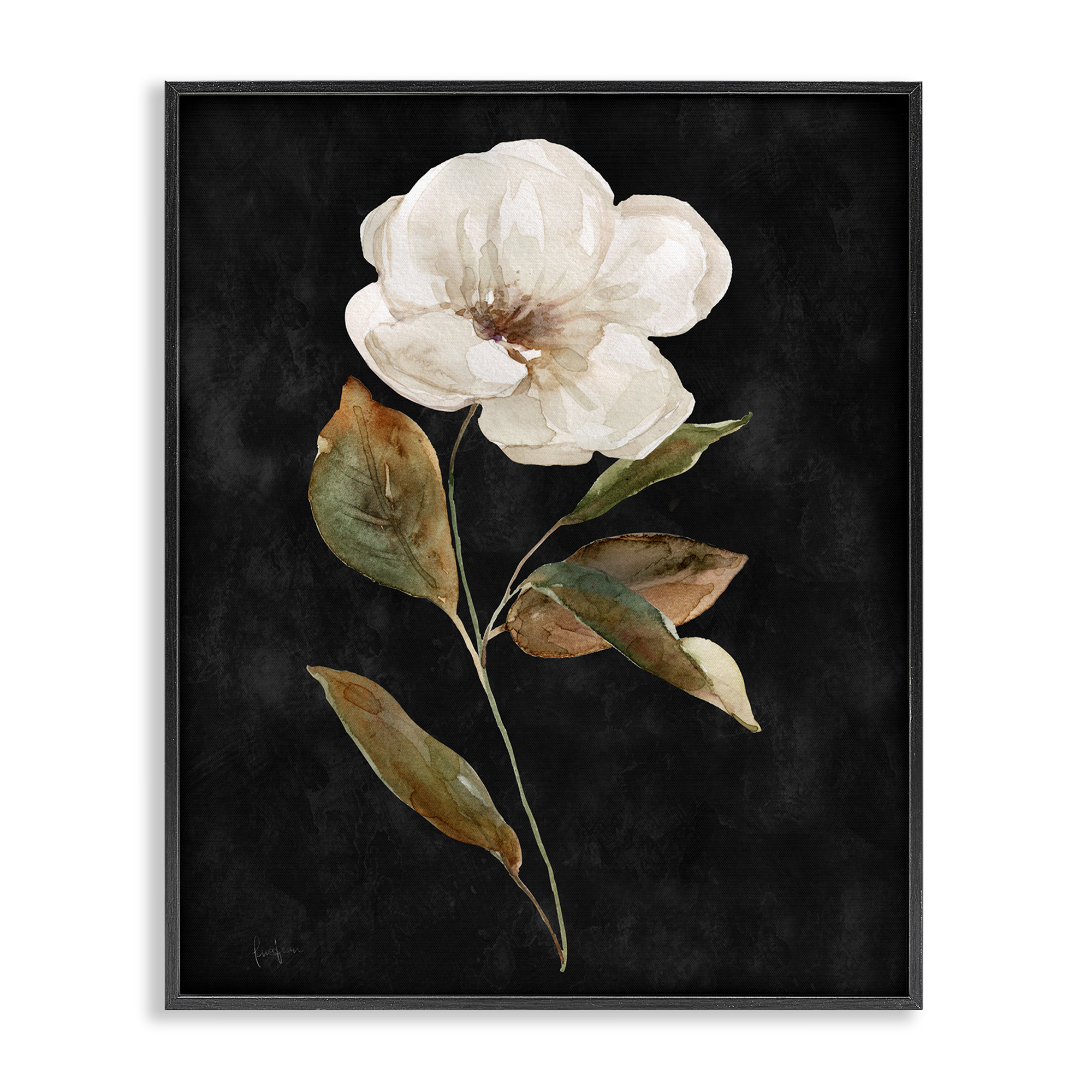 Stupell Industries White Bloom on Black Plants & Flowers Painting Black Framed Art Print Wall Art, 16 x 20