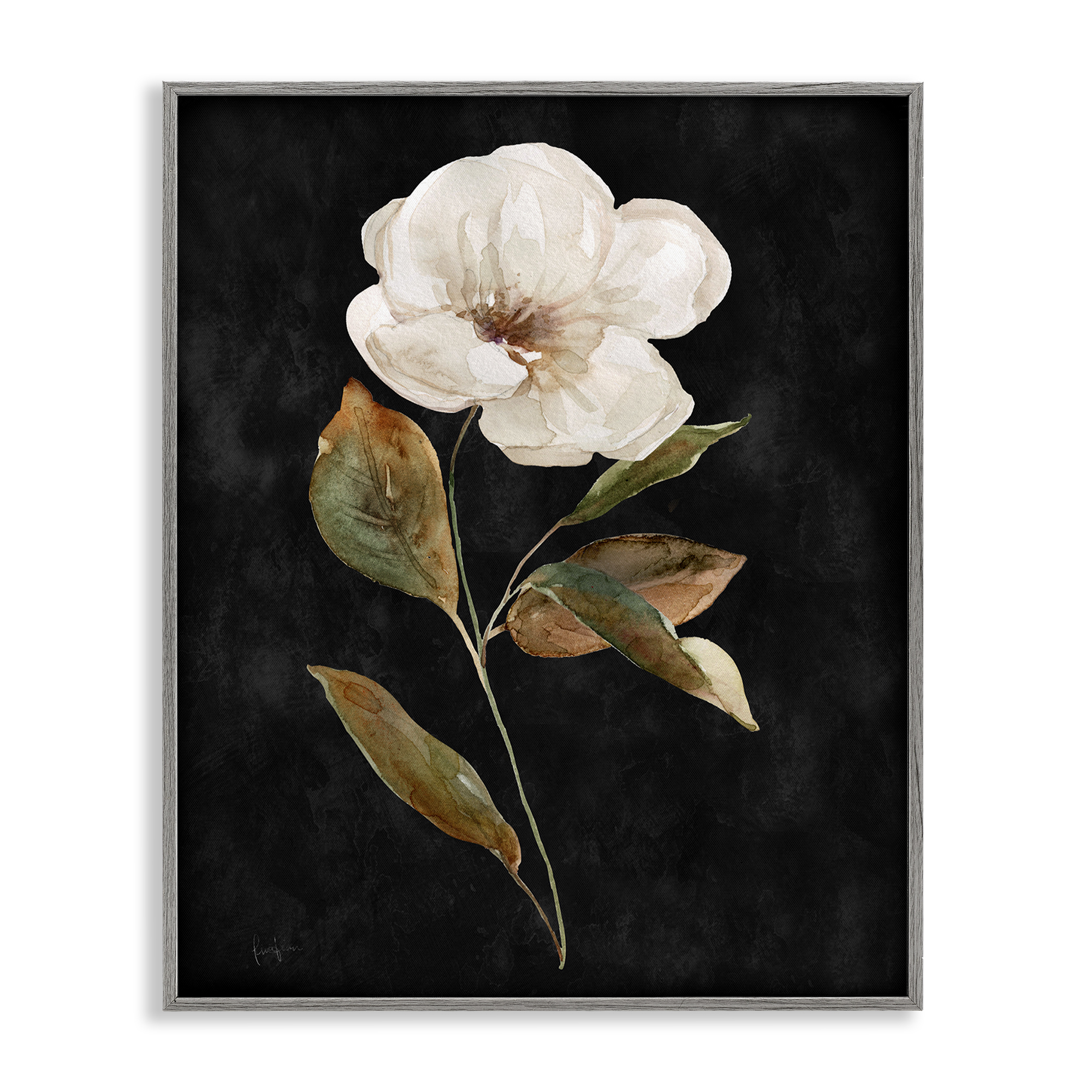 Stupell Industries White Bloom on Black Plants & Flowers Painting Gray Framed Art Print Wall Art, 16 x 20