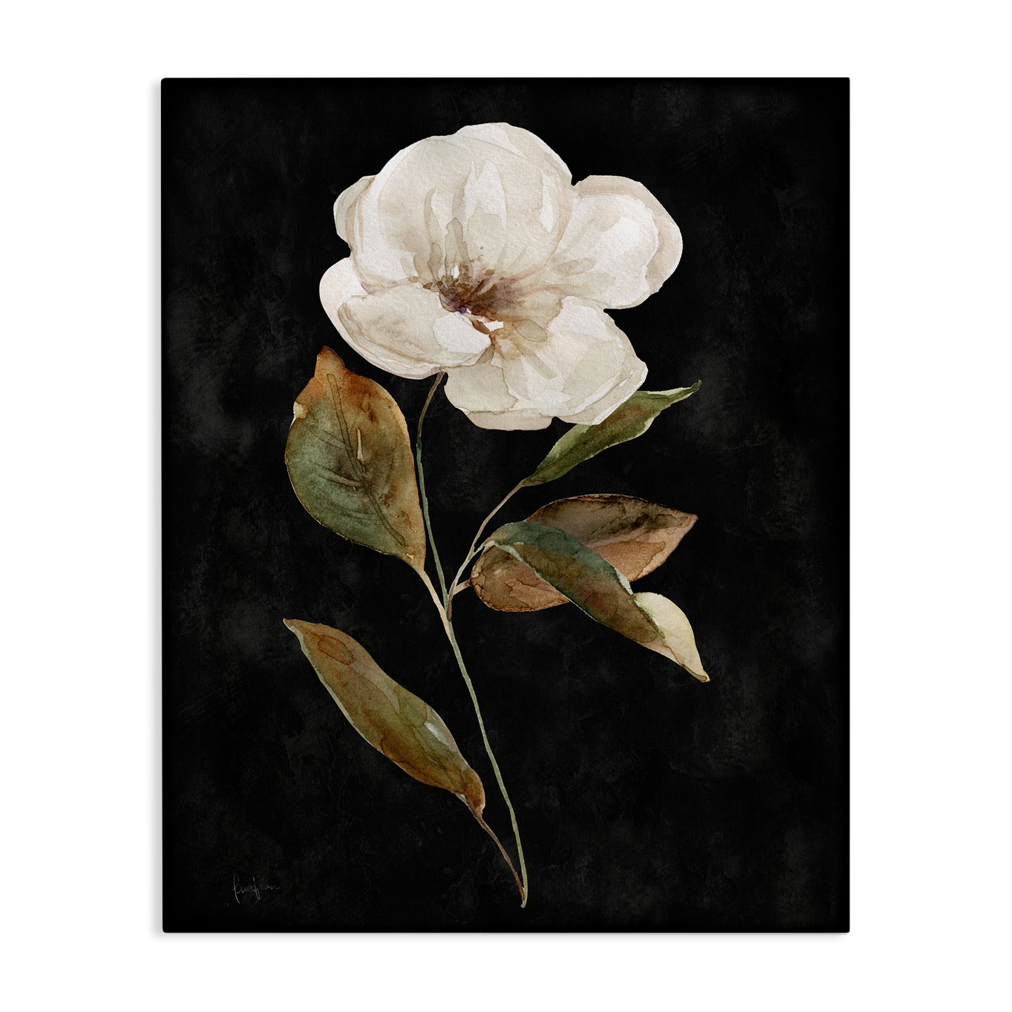 Stupell Industries White Bloom on Black Plants & Flowers Painting Wrapped Canvas Art Print Wall Art, 16 x 20