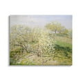 thumbnail image 1 of Stupell Industries White Blossom Tree Orchard Field Impressionist Brushstrokes Painting Gallery Wrapped Canvas Print Wall Art, Design by Lettered and Lined, 1 of 7