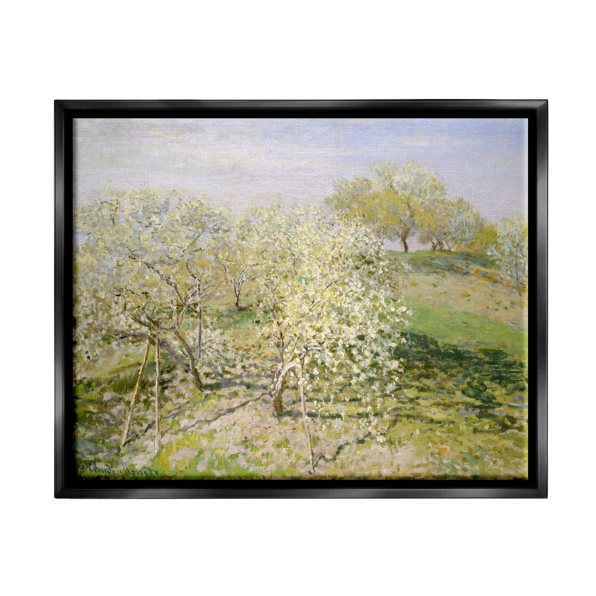 Stupell Industries White Blossom Tree Orchard Field Impressionist Brushstrokes Painting Jet Black Floating Framed Canvas Print Wall Art, Design by Lettered and Lined