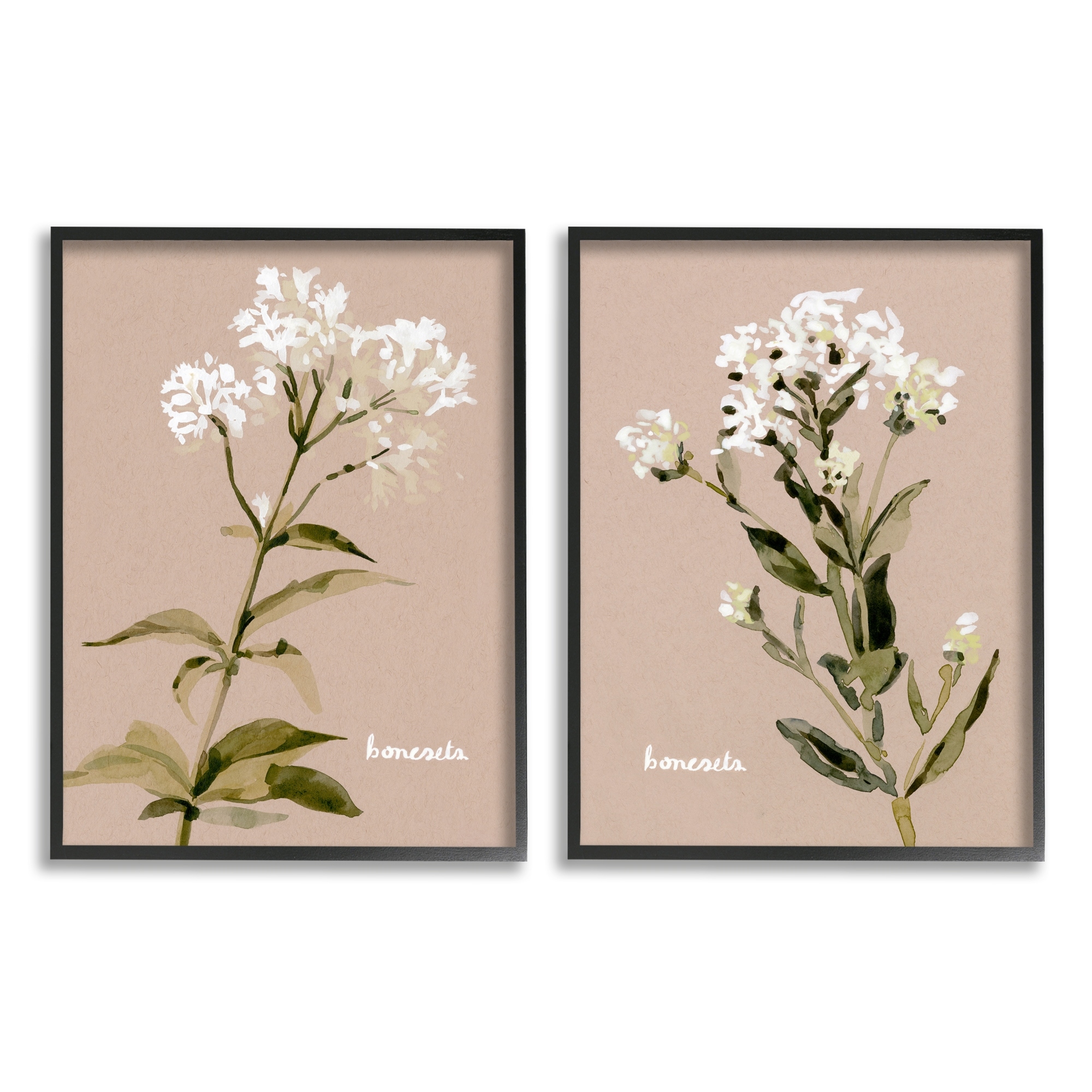 Stupell Industries White Boneset Flowers Soft Green White Brown Black Framed by Emma Caroline