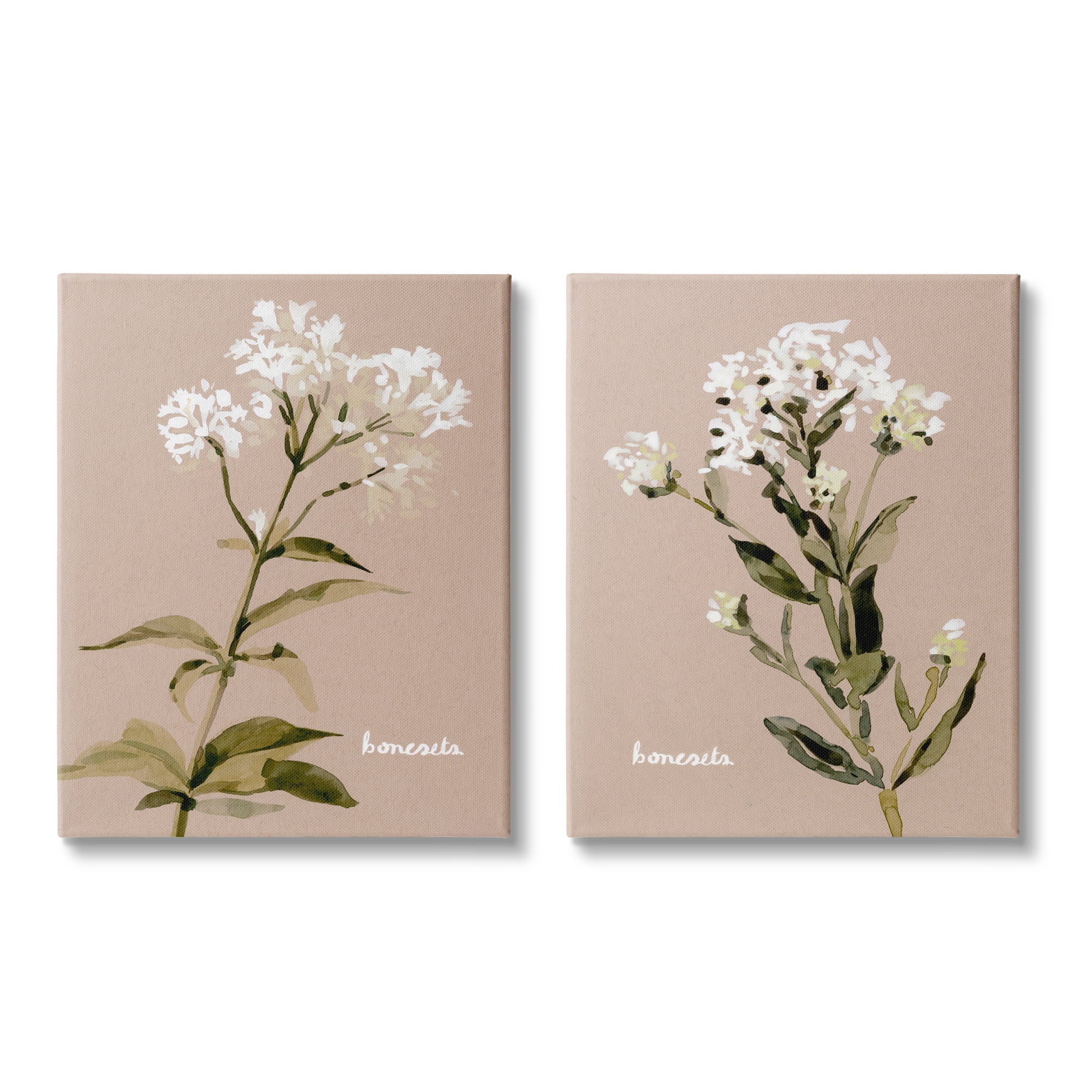 Stupell Industries White Boneset Flowers Soft Green White Brown Canvas Wall Art by Emma Caroline