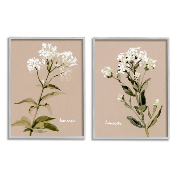 Stupell Industries White Boneset Flowers Soft Green White Brown Gray Framed by Emma Caroline