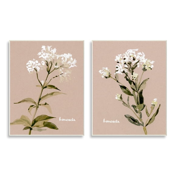 Stupell Industries White Boneset Flowers Soft Green White Brown Wall Plaque by Emma Caroline