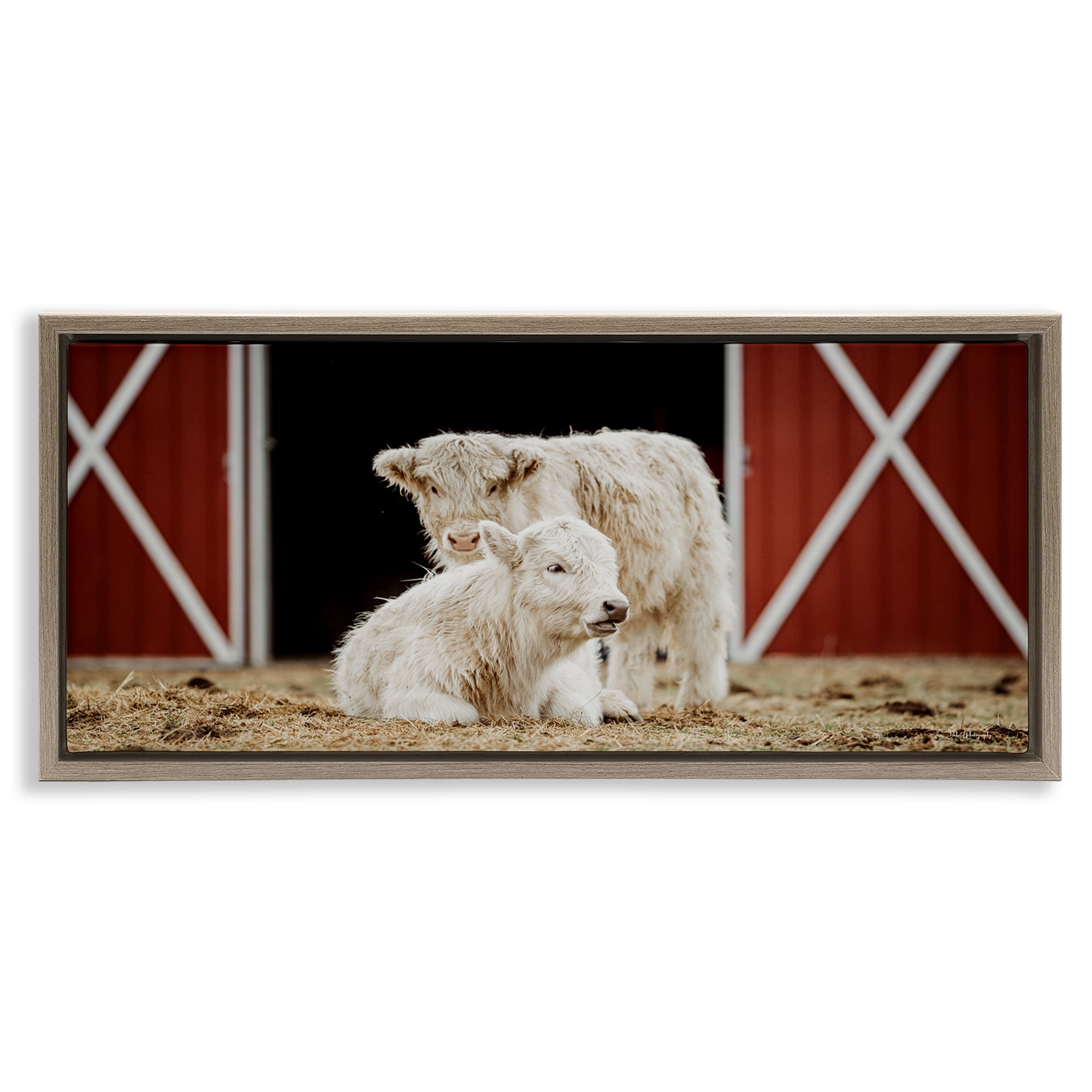 Stupell Industries White Cattle Barn Animals & Insects Photography Brown Floater Framed Canvas Art Print Wall Art, 25 x 11