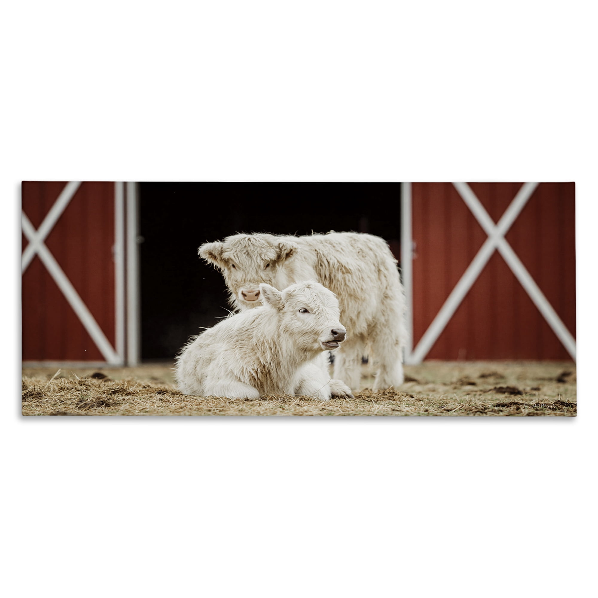 Stupell Industries White Cattle Barn Animals & Insects Photography Gallery Wrapped Canvas Art Print Wall Art, 40 x 17