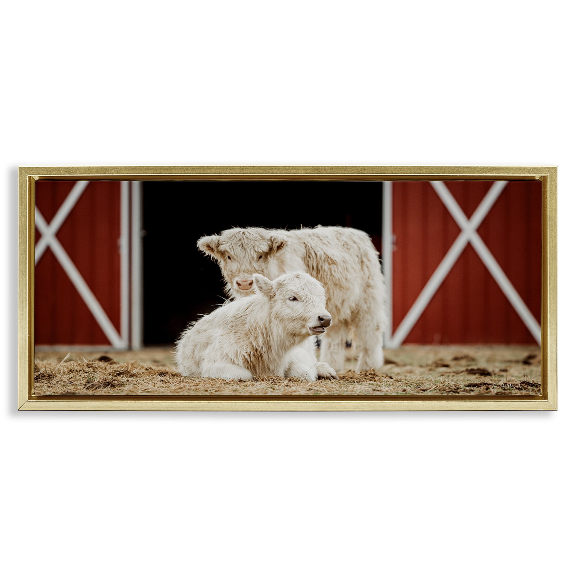 Stupell Industries White Cattle Barn Animals & Insects Photography Gold Floater Framed Canvas Art Print Wall Art, 25 x 11