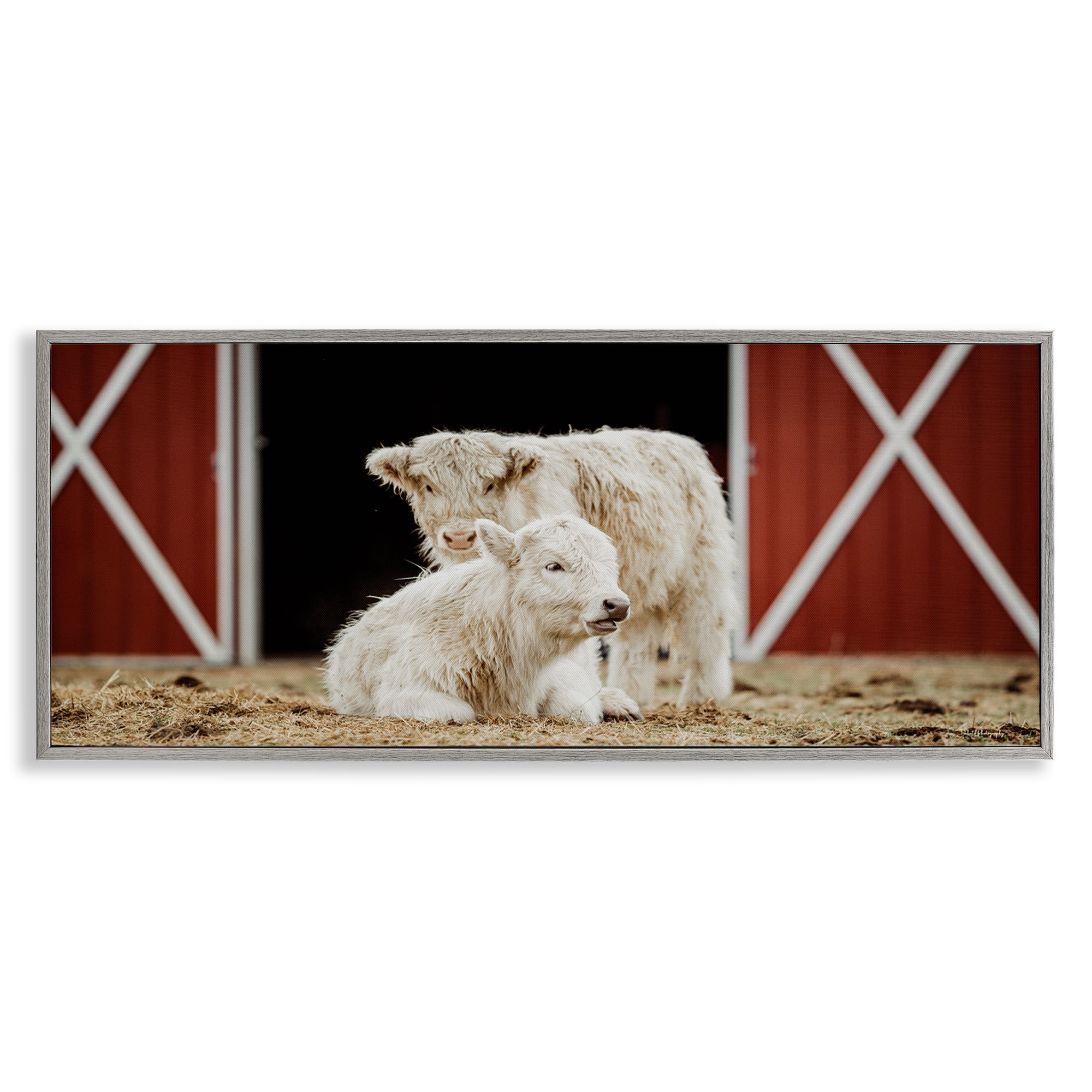 Stupell Industries White Cattle Barn Animals & Insects Photography Gray Framed Art Print Wall Art, 24 x 10