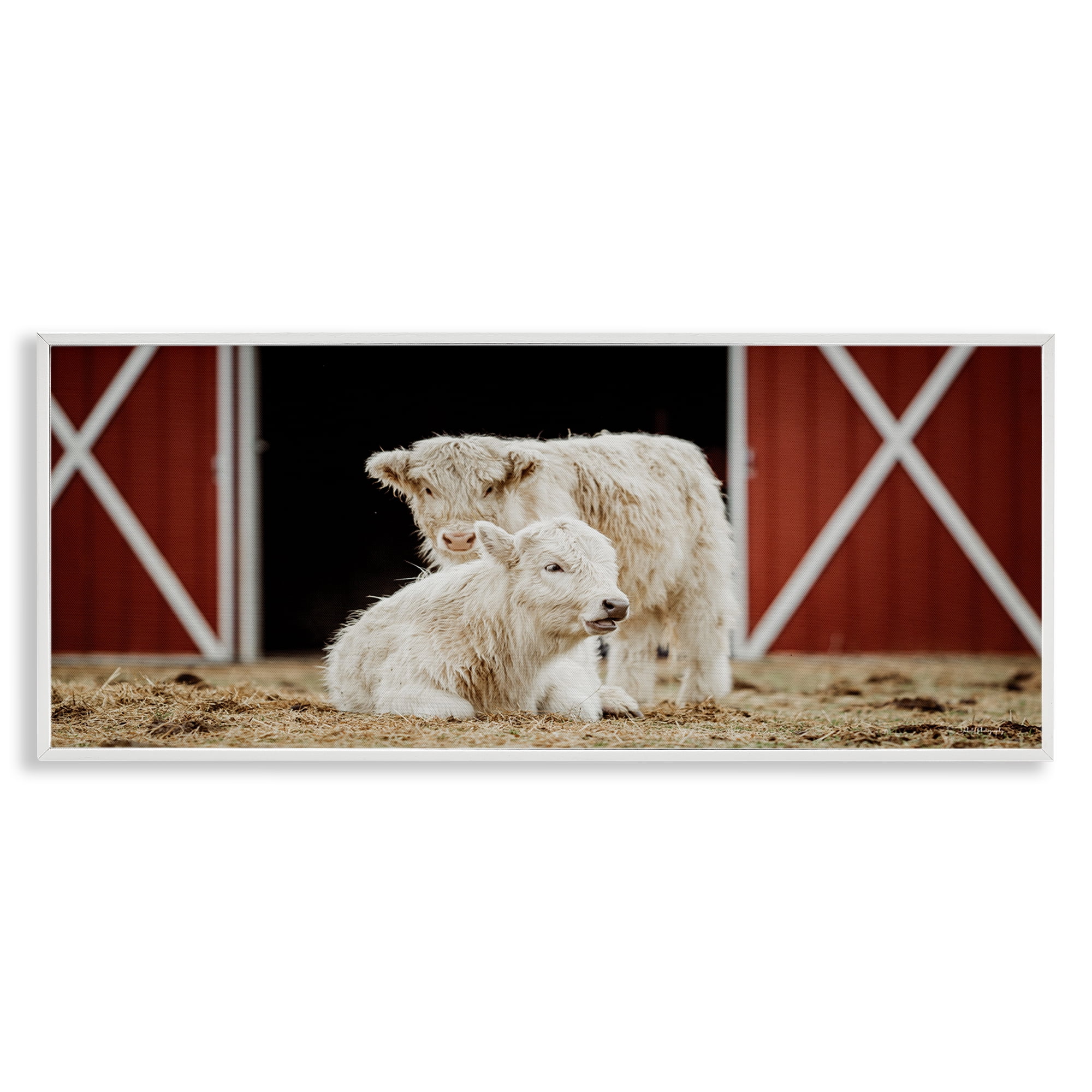Stupell Industries White Cattle Barn Animals & Insects Photography White Framed Art Print Wall Art, 24 x 10