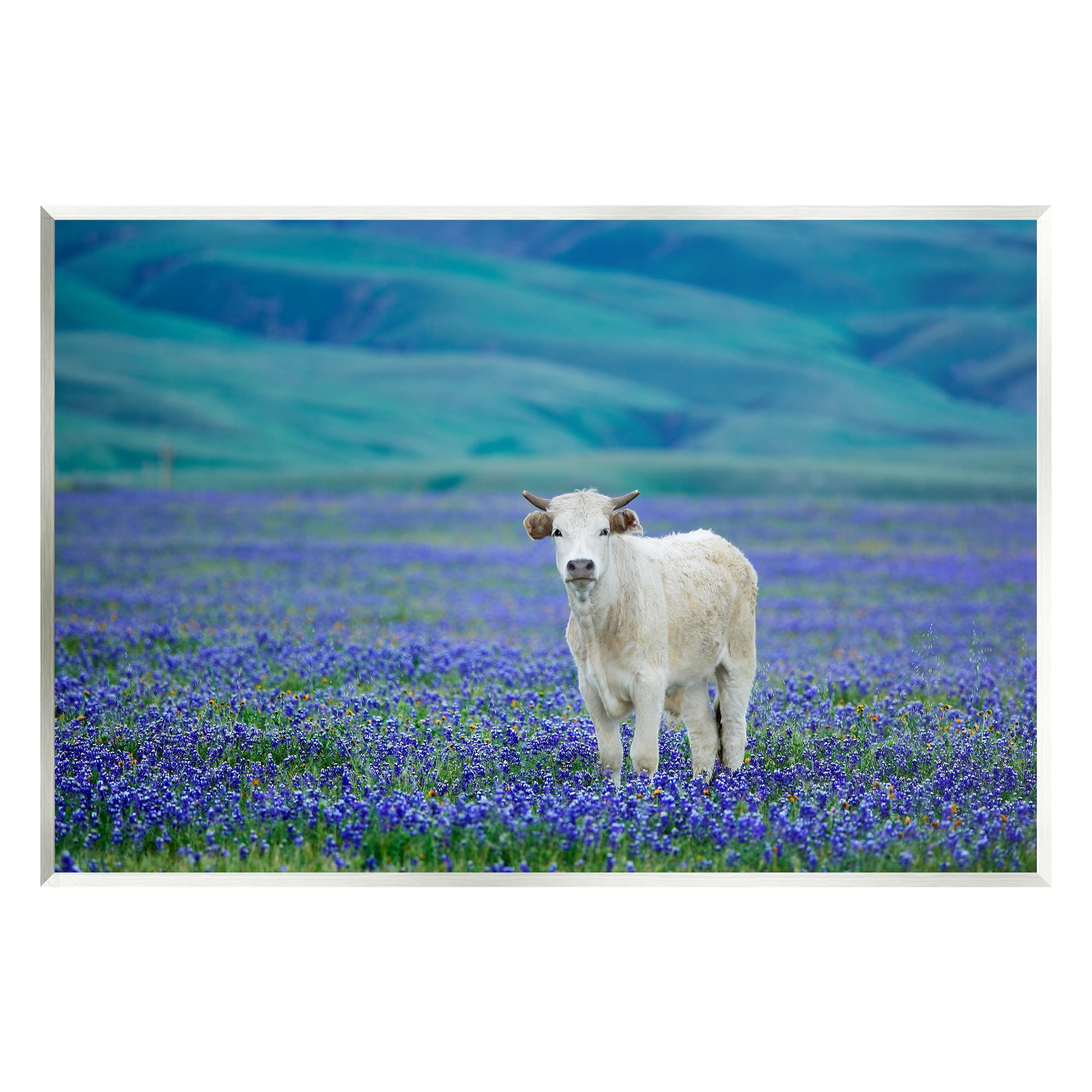 Stupell Industries White Cattle Lavender Field Animals & Insects Photography Unframed Art Print Wall Art