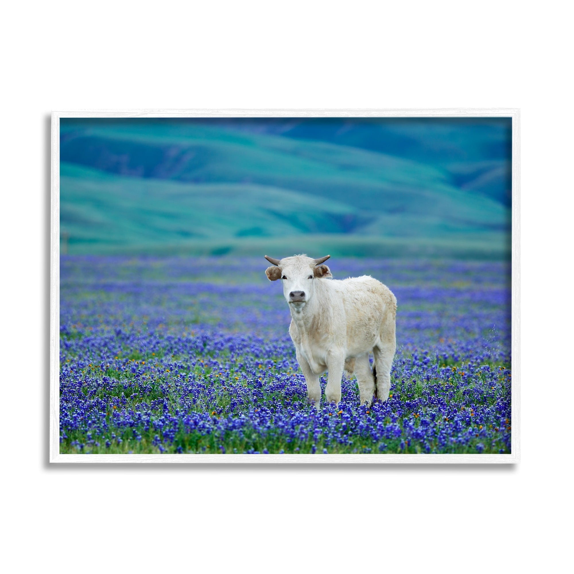 Stupell Industries White Cattle Lavender Field Animals & Insects Photography White Framed Art Print Wall Art