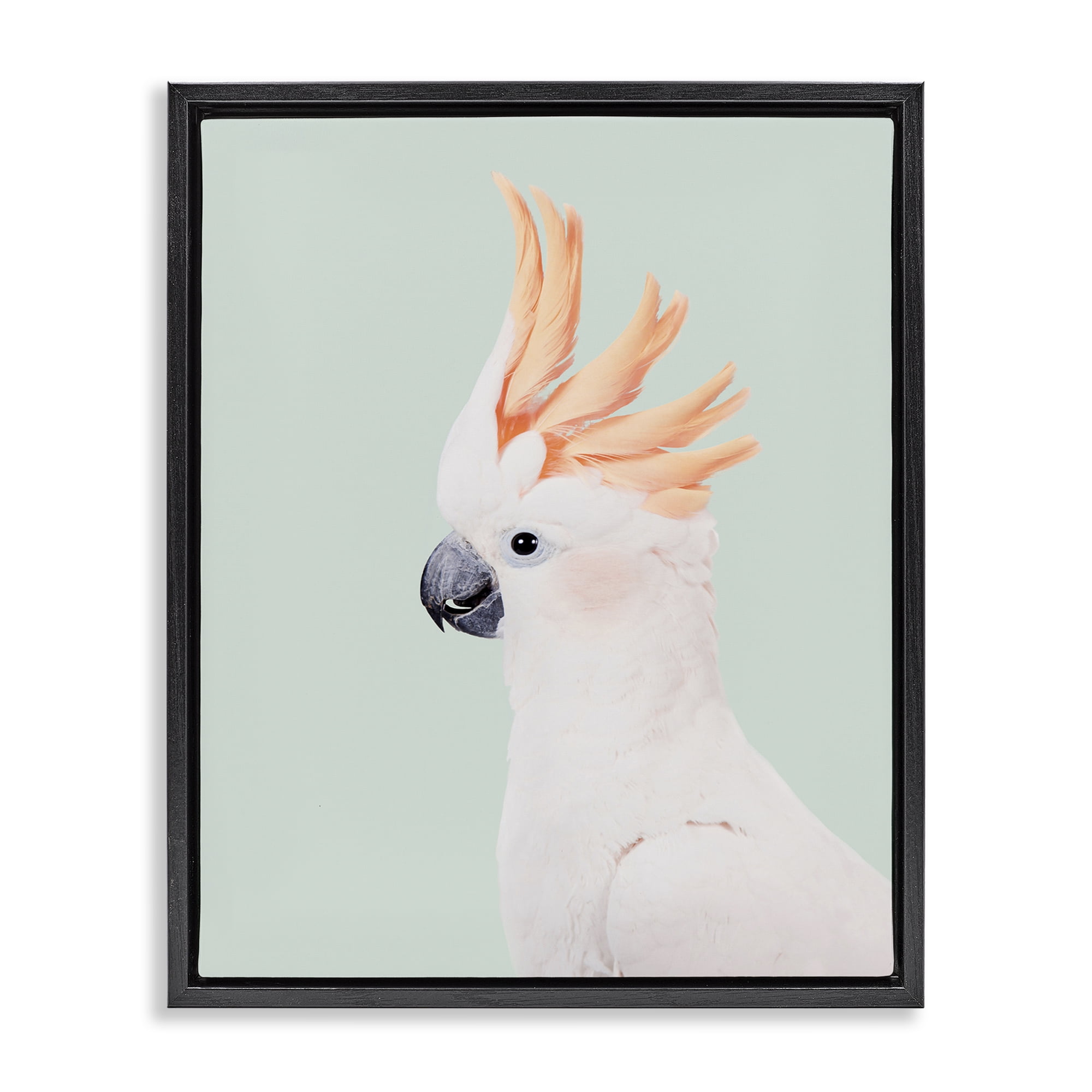 Stupell Industries White Cockatoo Portrait Animals Painting Black Floater Framed Canvas Art Print Wall Art, 25 x 31