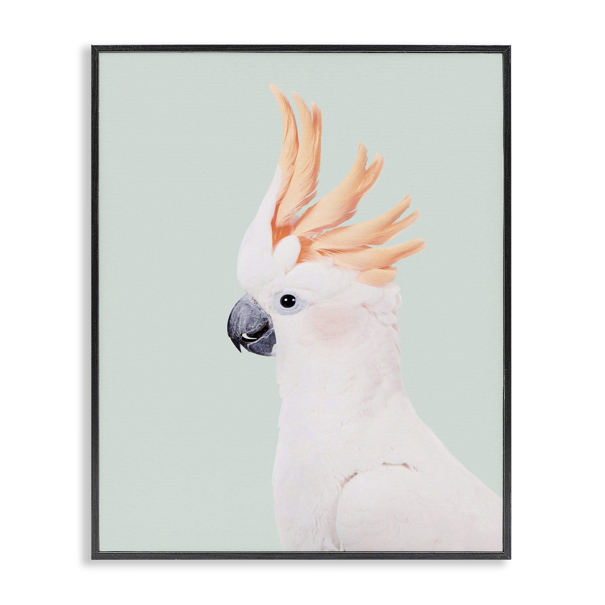 Stupell Industries White Cockatoo Portrait Animals Painting Black Framed Art Print Wall Art, 16 x 20