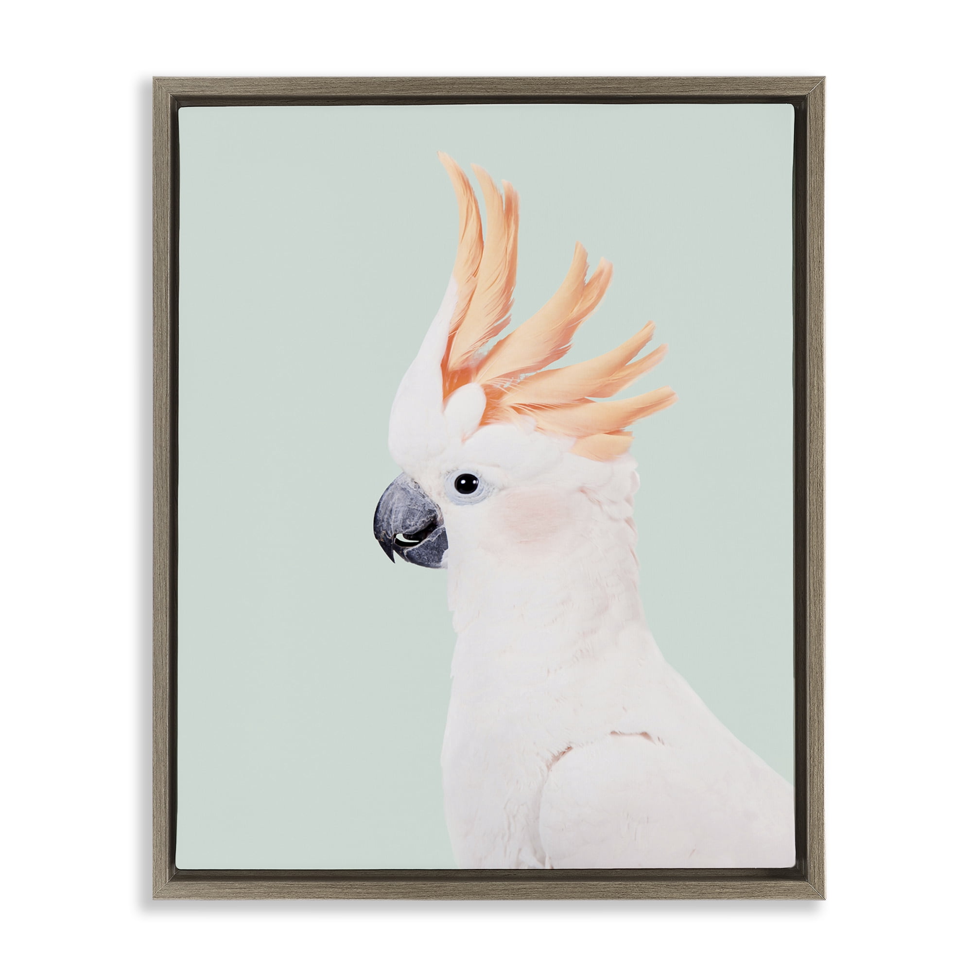 Stupell Industries White Cockatoo Portrait Animals Painting Brown Floater Framed Canvas Art Print Wall Art, 17 x 21